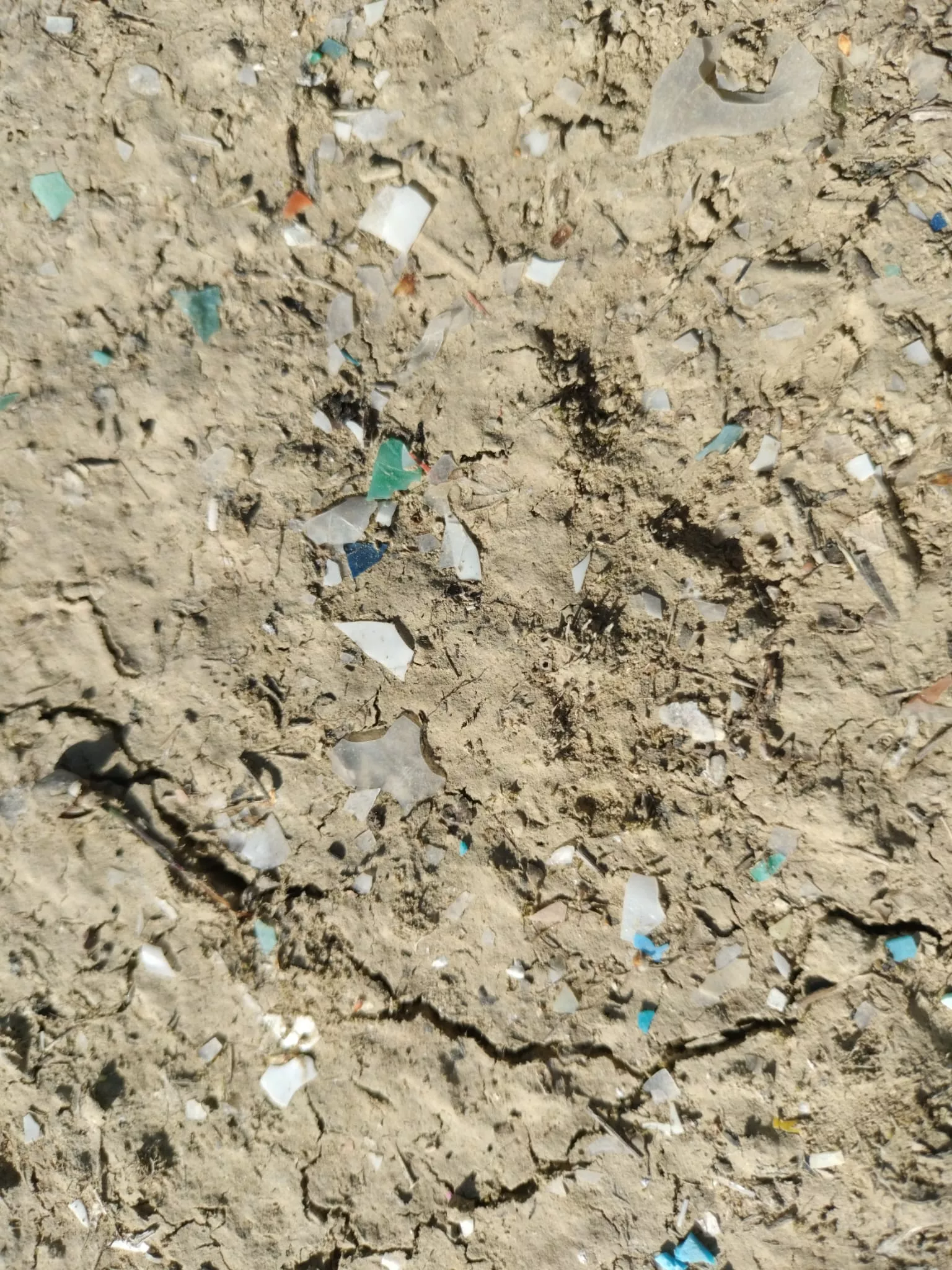 Jornada contra la basuraleza en el entorno de Mediano.