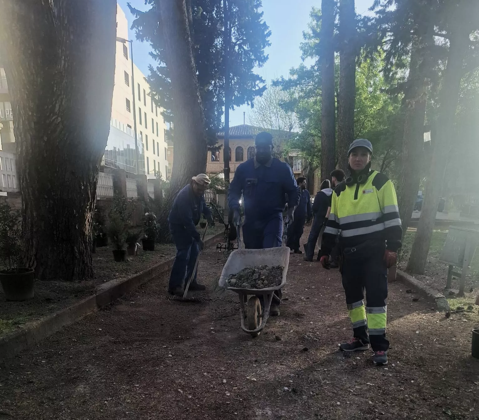 Trabajos de plantación de arbustos en el Parque Miguel Servet de Huesca