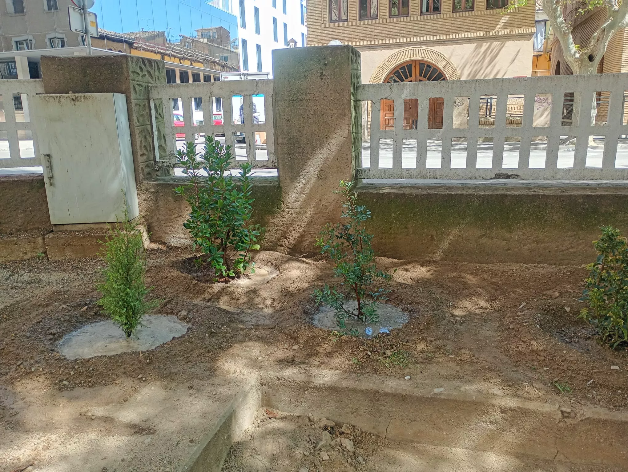 Plantación de 147 arbustos en el parque Miguel Servet