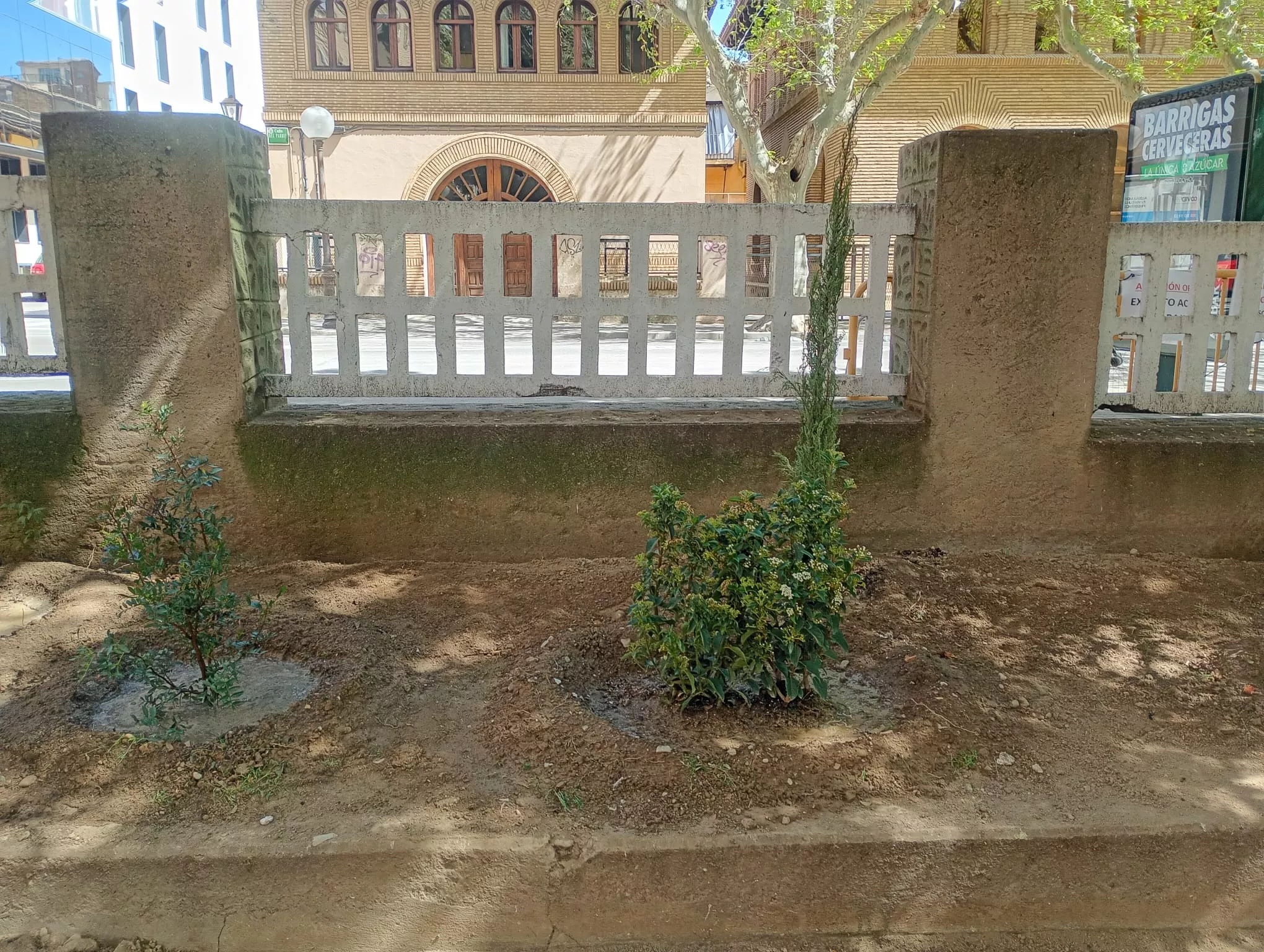 Plantación de 147 arbustos en el parque Miguel Servet