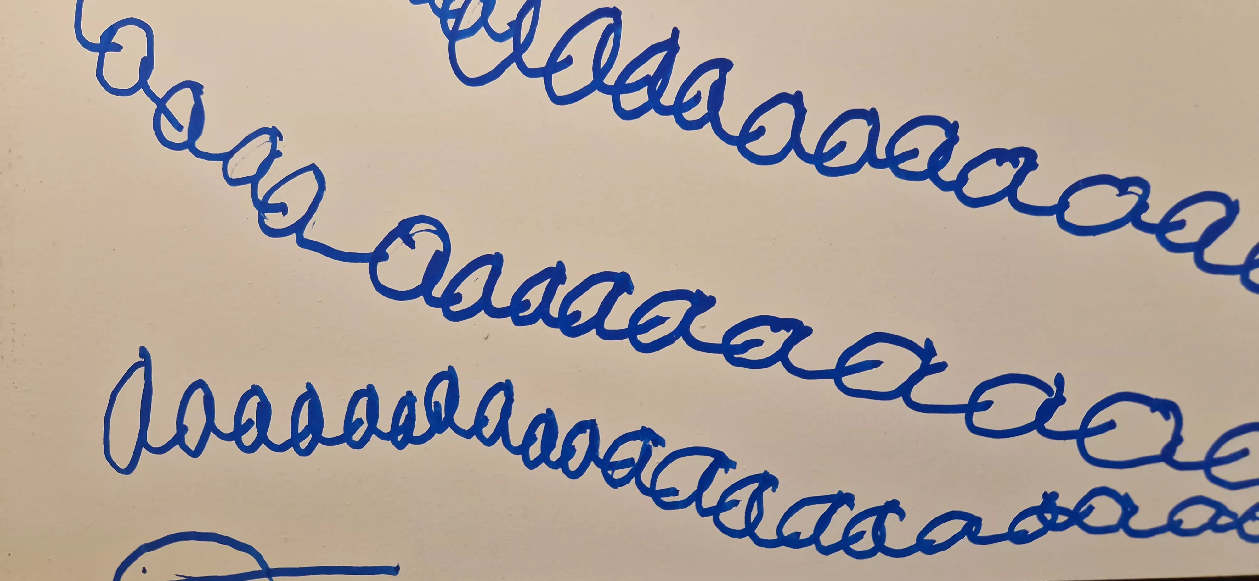 "Con A de Antonio", la exposición de Diversario en la librería Anónima. Foto Myriam Martínez