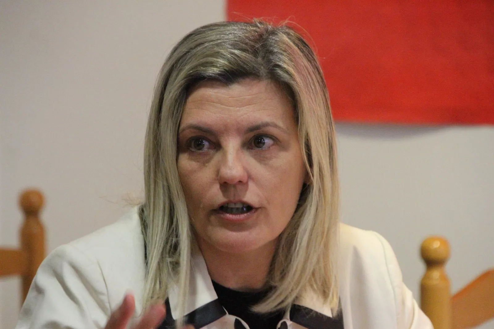 Begoña Nasarre. Jornadas Republicanas del CRMAHU. Foto Carlos Neofato