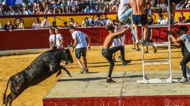 Un momento de la mañana de este viernes. Foto: Feria Taurina Albahaca Huesca Un momento de la mañana de este viernes. Foto: Feria Taurina Albahaca Huesca
