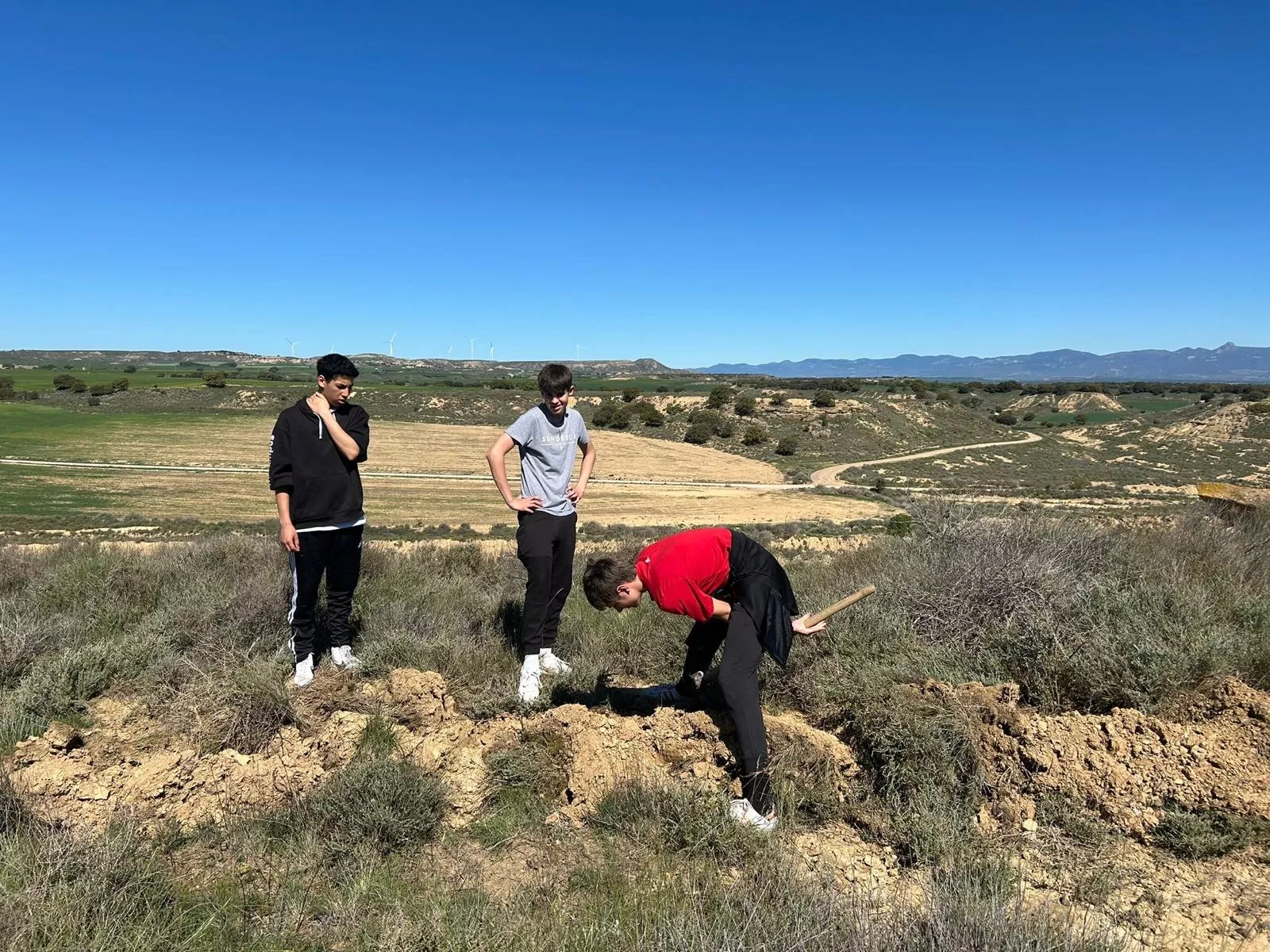 Jornada del Rotary Club de Huesca y Salesianos para plantar 300 árboles en Vicién