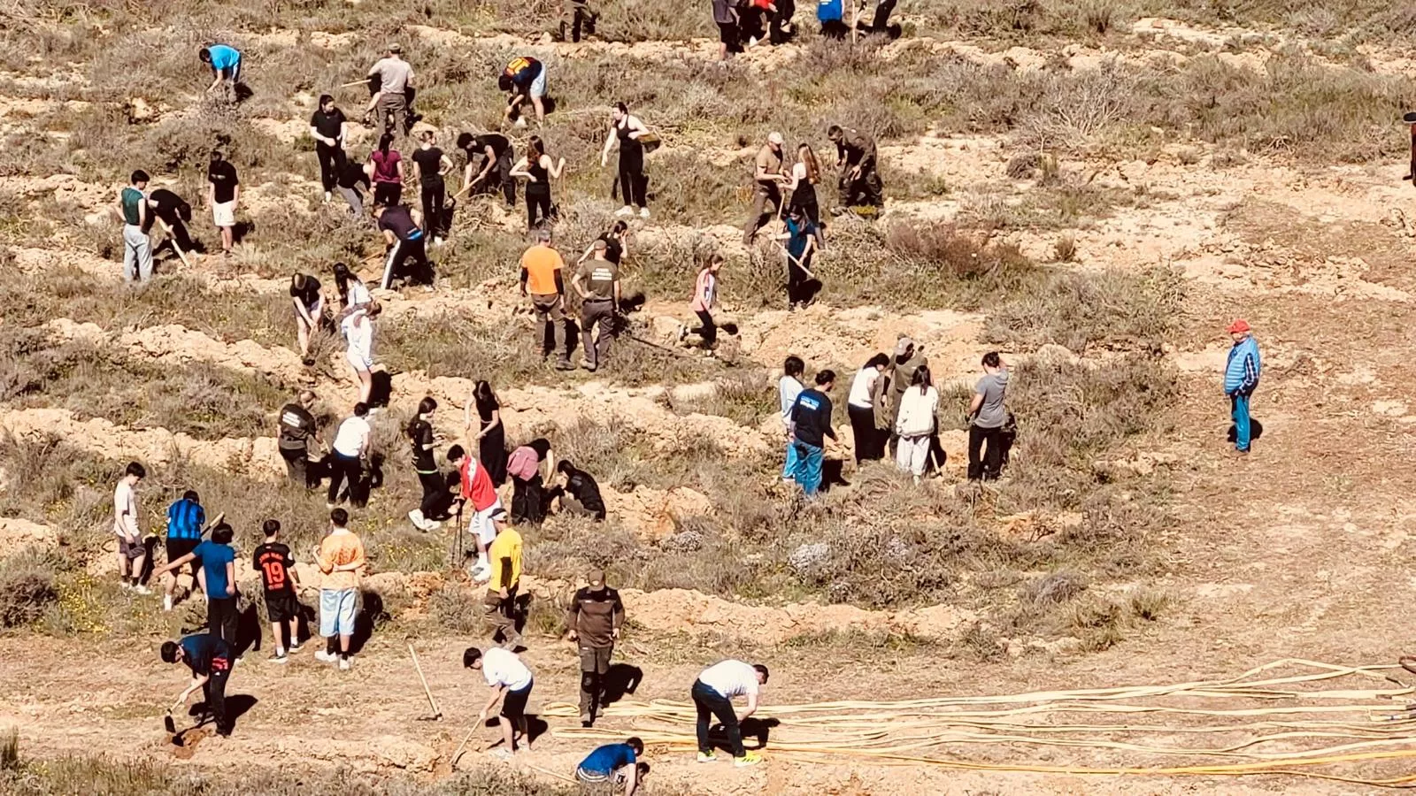 Jornada del Rotary Club de Huesca y Salesianos para plantar 300 árboles en Vicién