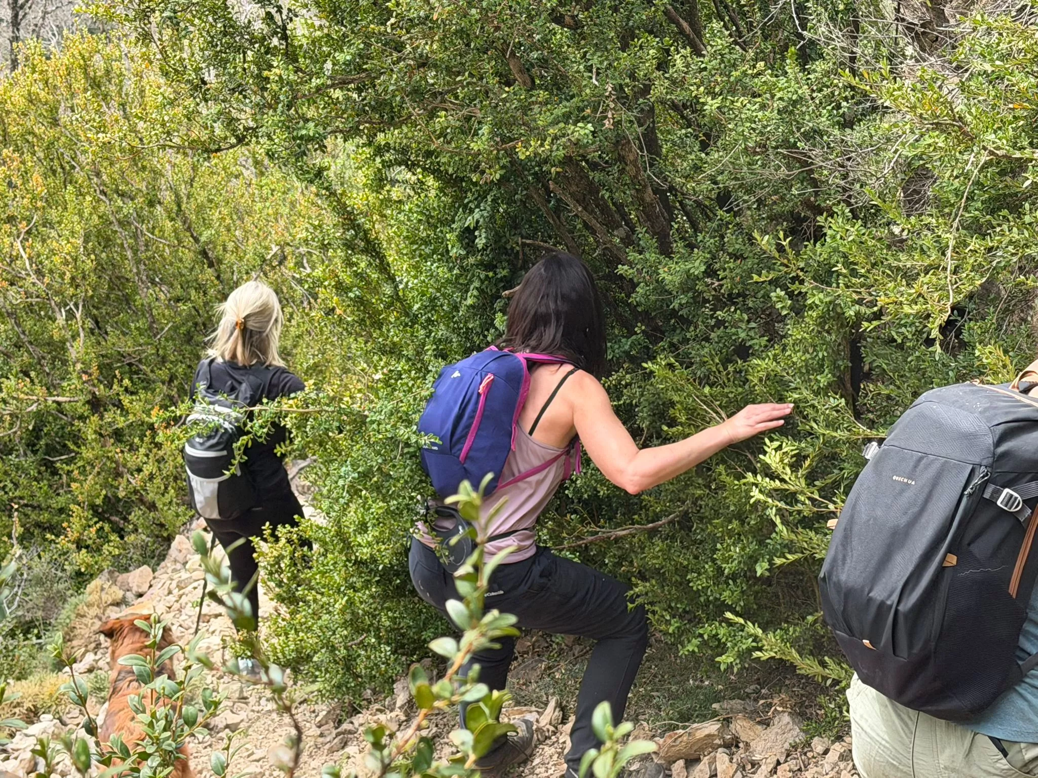 Tercero de los 12 Retos 12 Cimas de los Javieres. Foto Javieres