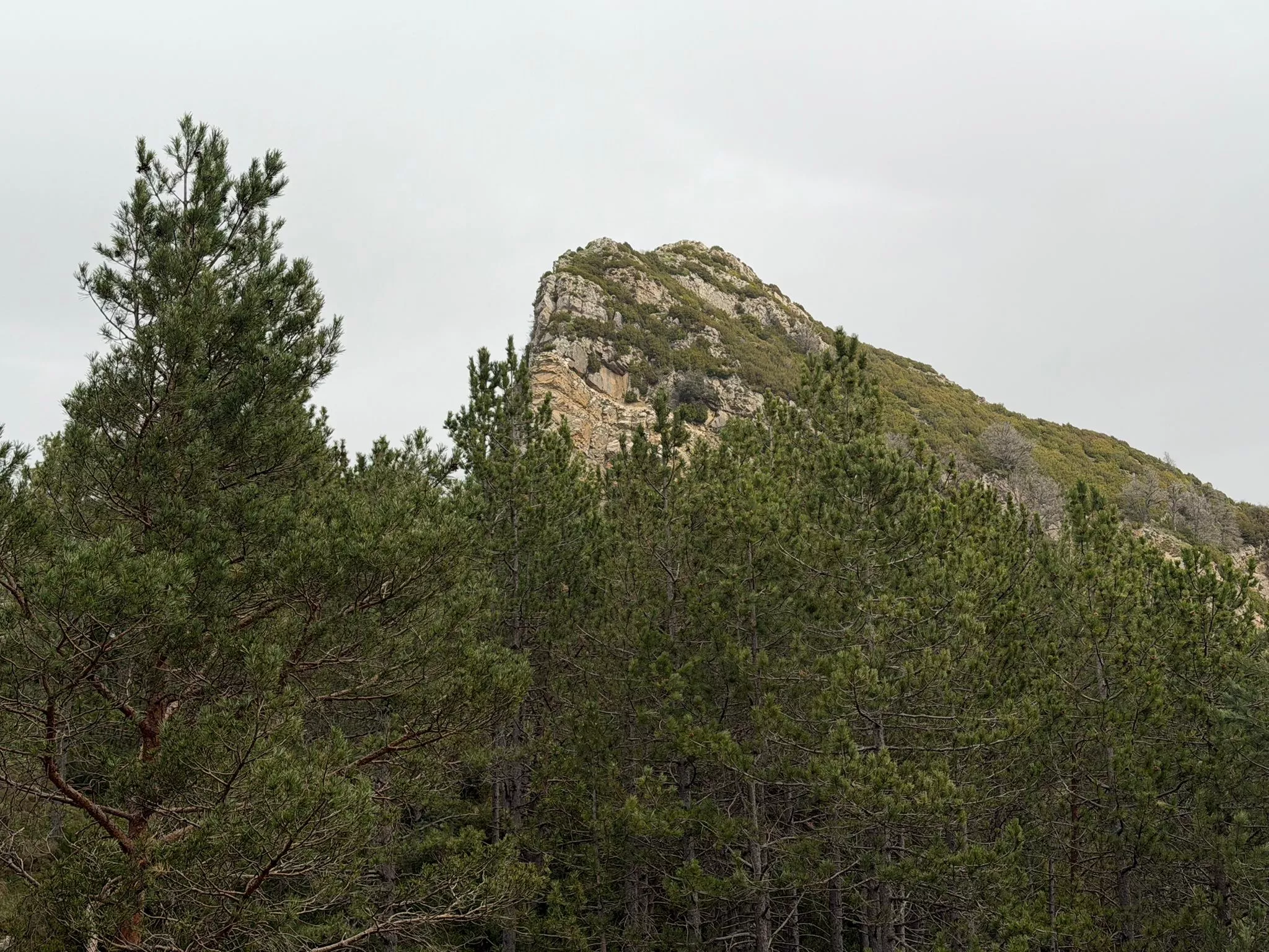 Tercero de los 12 Retos 12 Cimas de los Javieres. Foto Javieres