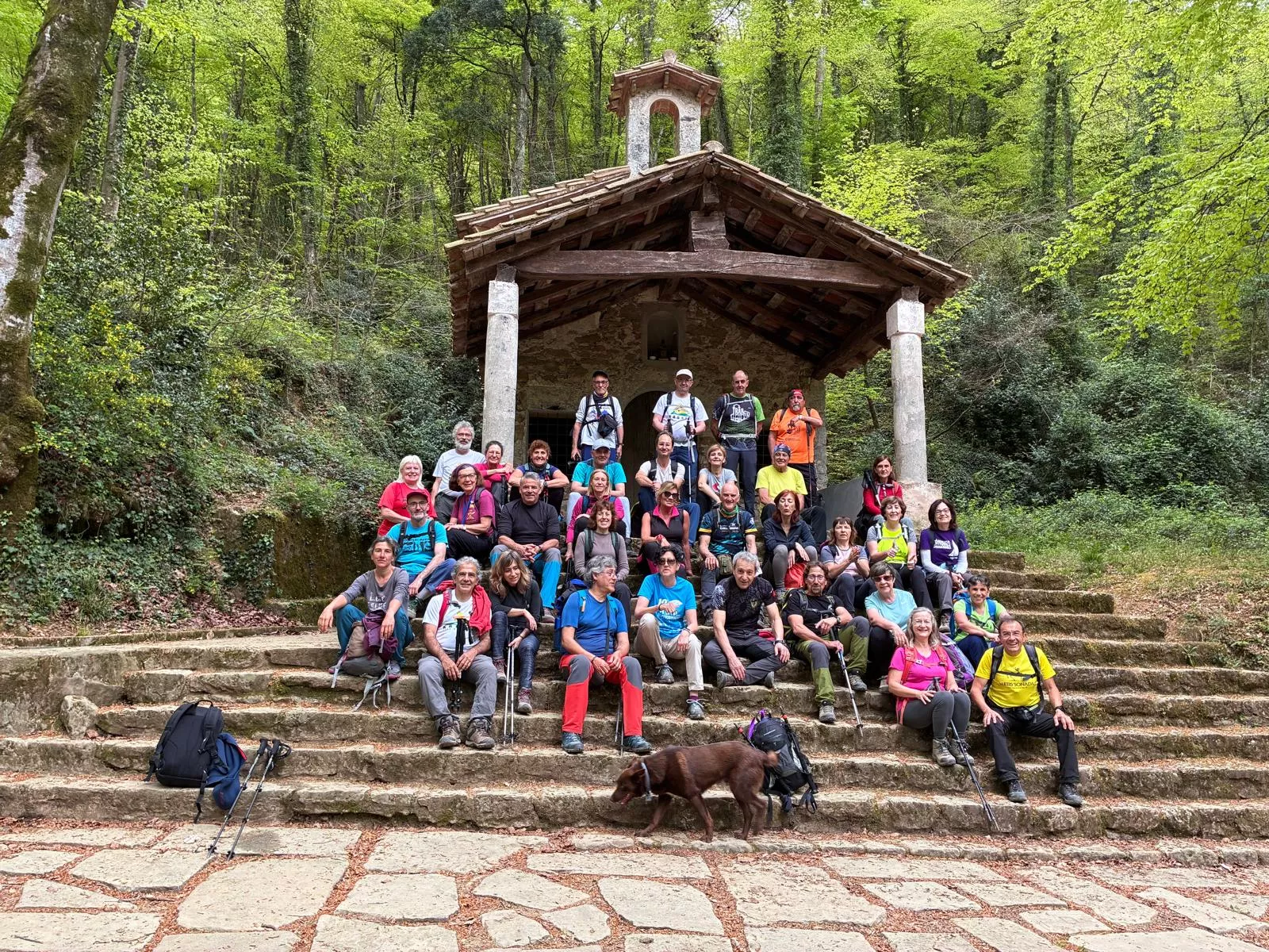 El grupo de excursionistas.