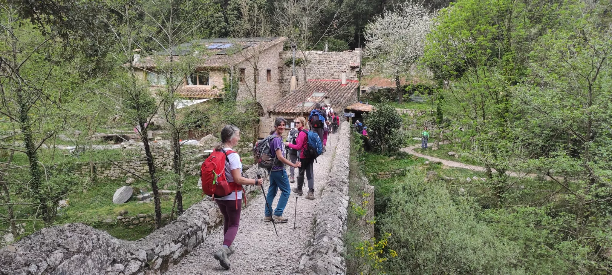 Imagen de la excursión.