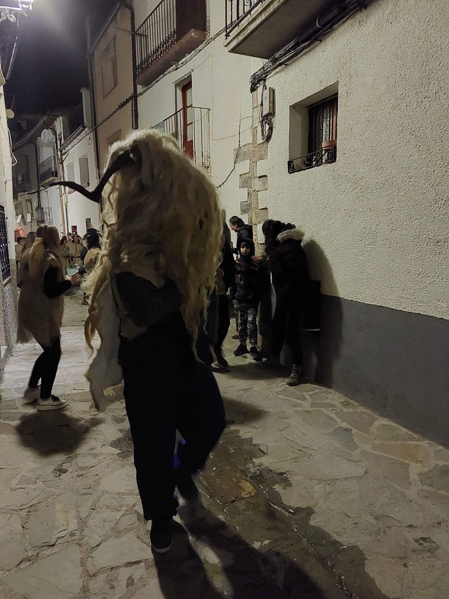  Carnaval de los Zarrapatrosos de Berdún