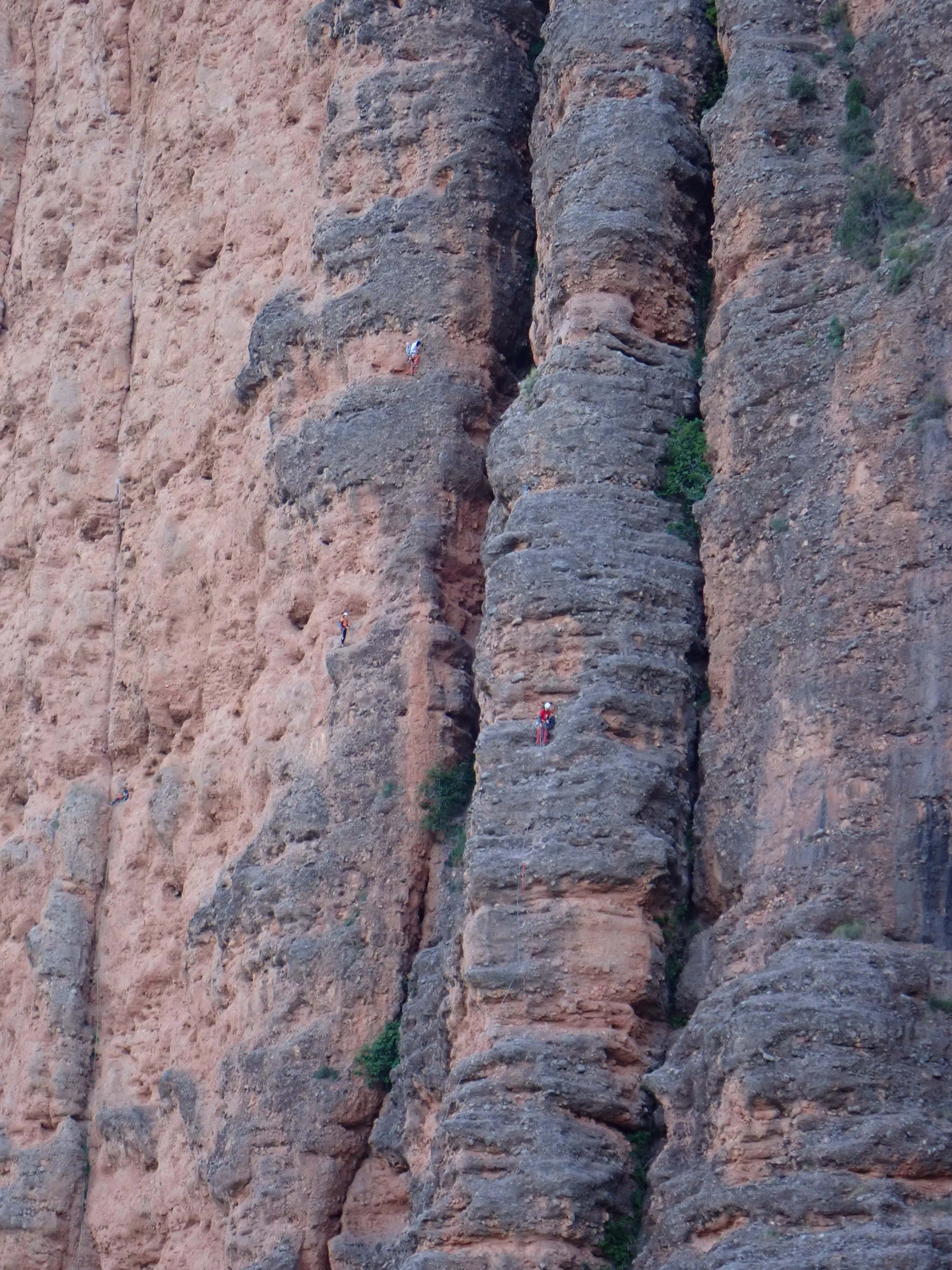 Rally de Escalada en Riglos 2026.