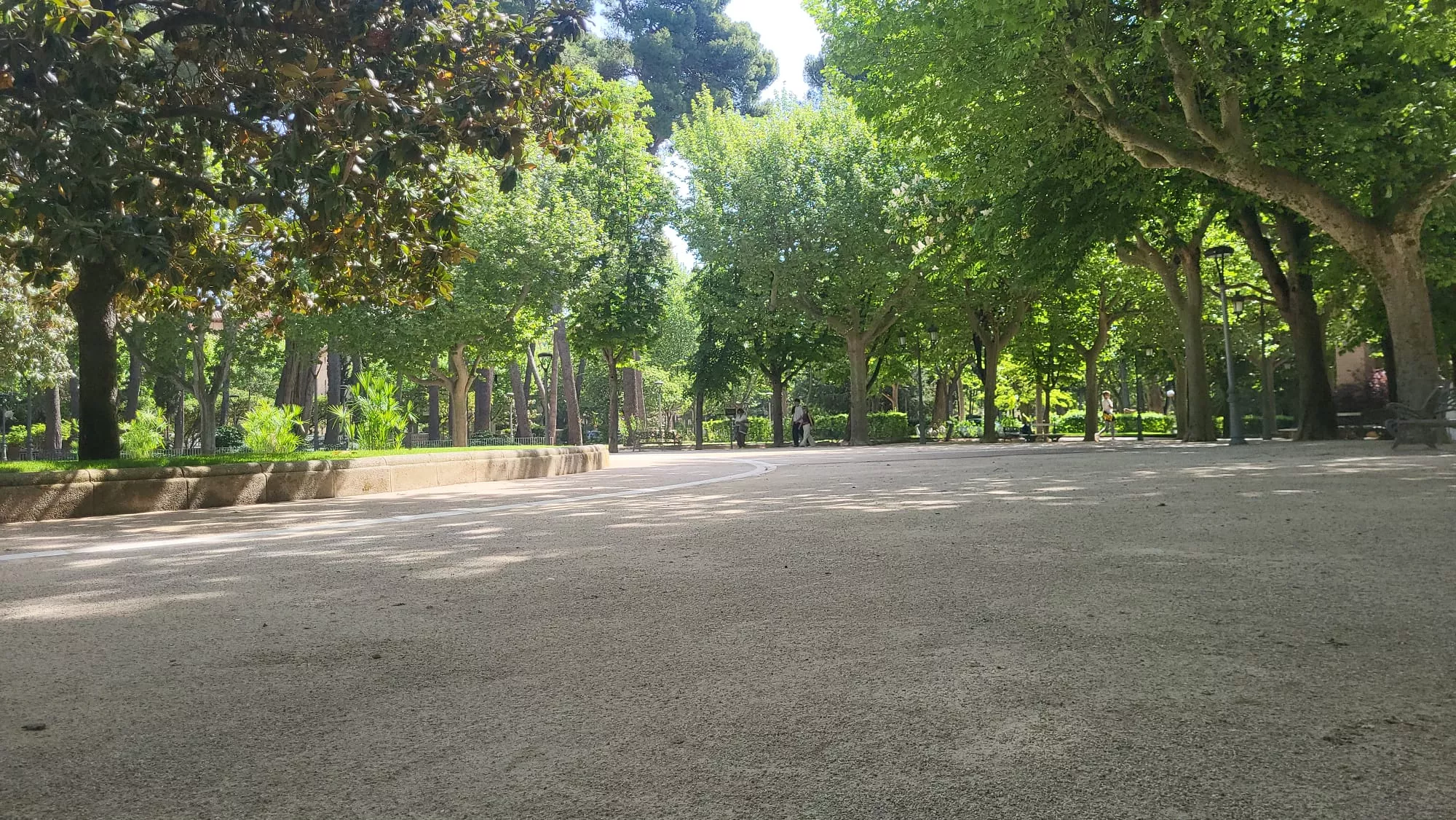 Renovación de viales principales en el parque Miguel Servet de Huesca. Foto Mercedes Manterola