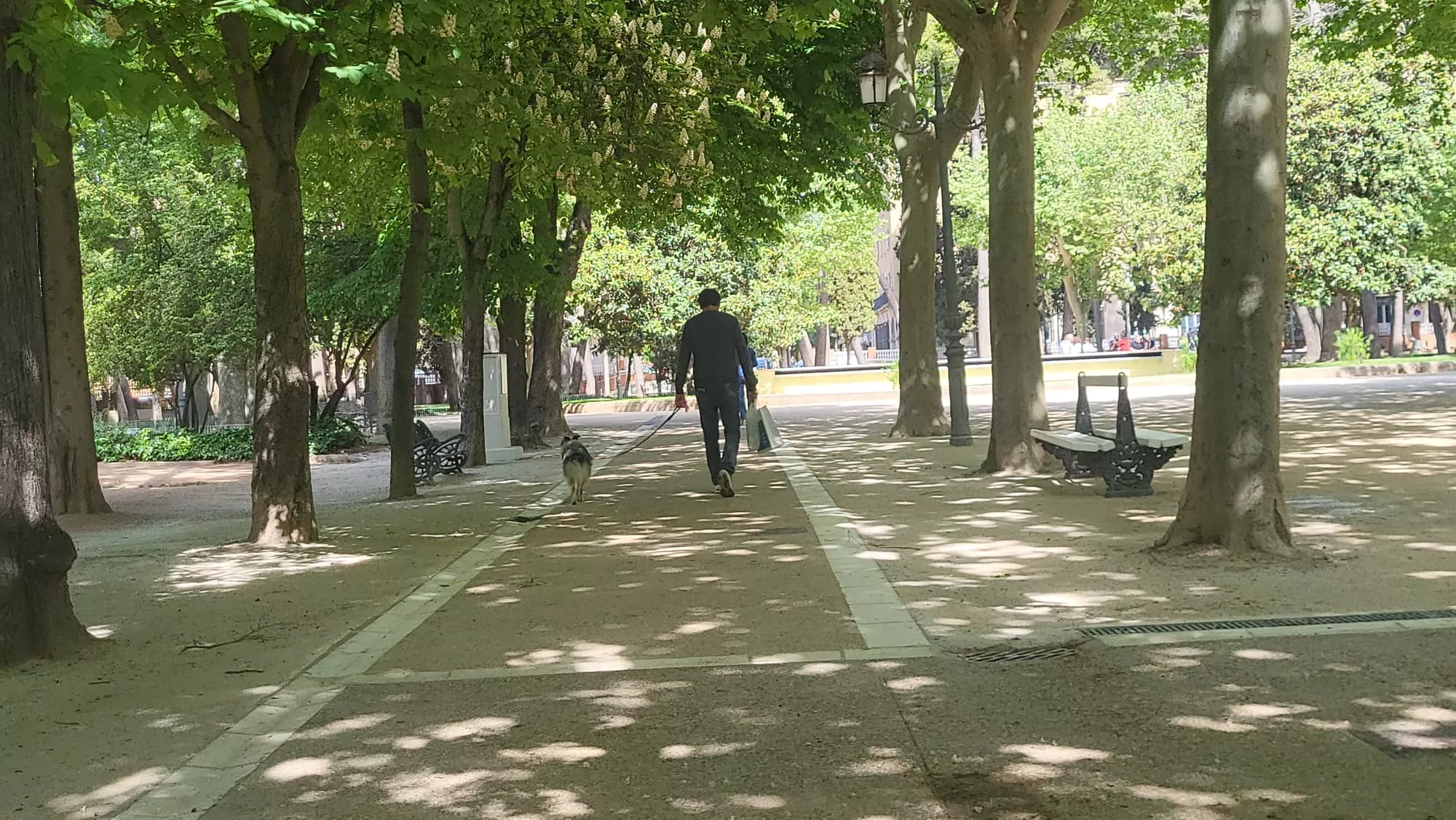 Renovación de viales principales en el parque Miguel Servet de Huesca. Foto Mercedes Manterola