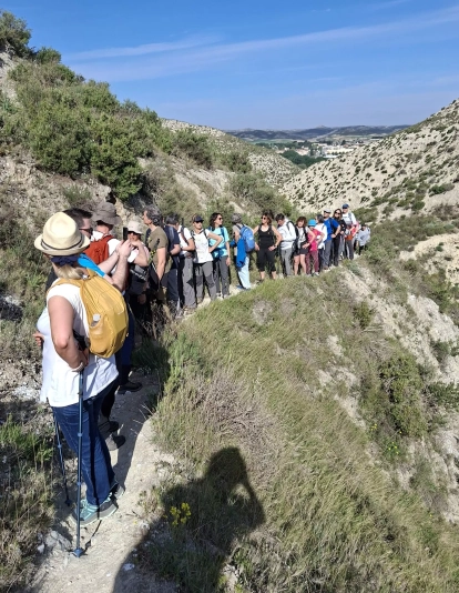 EstepaAragonesa Post5 CMNabain