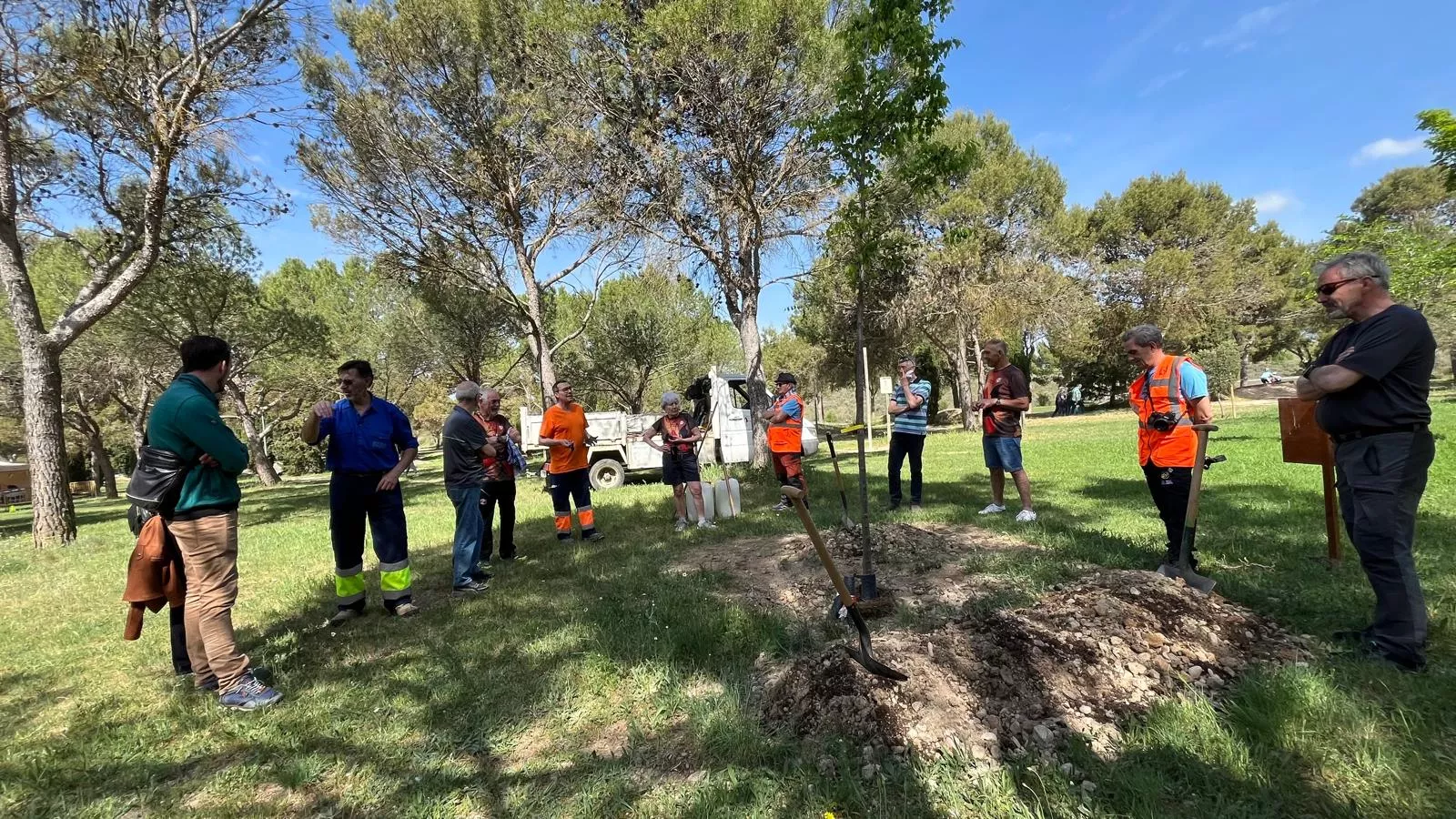 Plantación de un árbol en el cerro de San Jorge en el 25 aniversario de la Jorgeada. Foto Mercedes Manterola