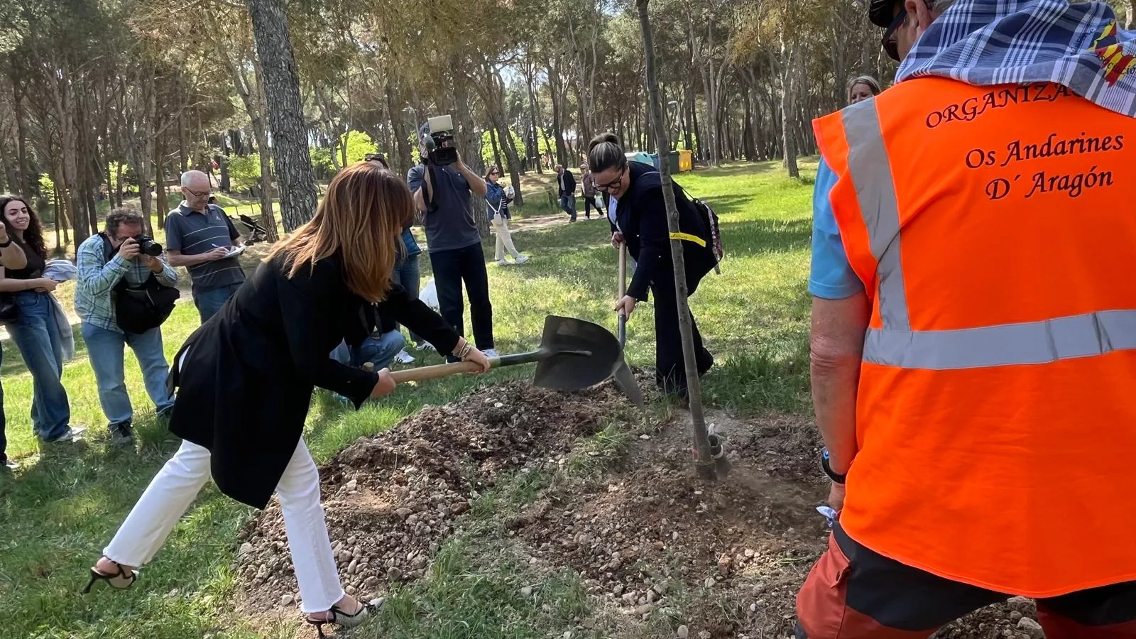 Plantación de un árbol en el cerro de San Jorge en el 25 aniversario de la Jorgeada. Foto Mercedes Manterola