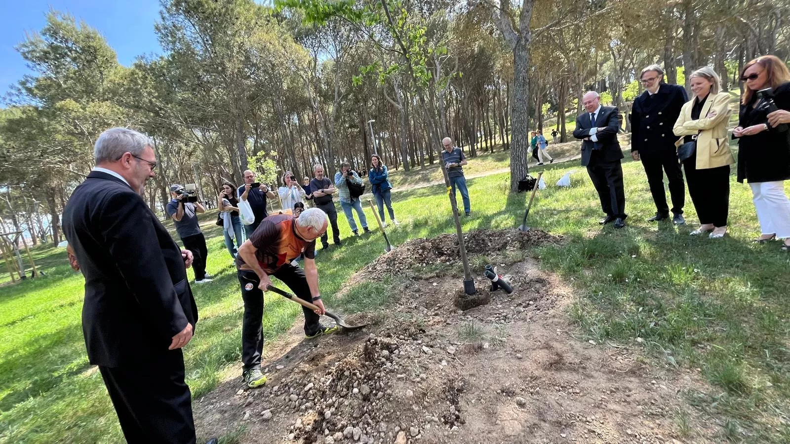 José María Gállego ha dado la primera "palada" al árbol de la Jorgeada. Foto Mercedes Manterola.