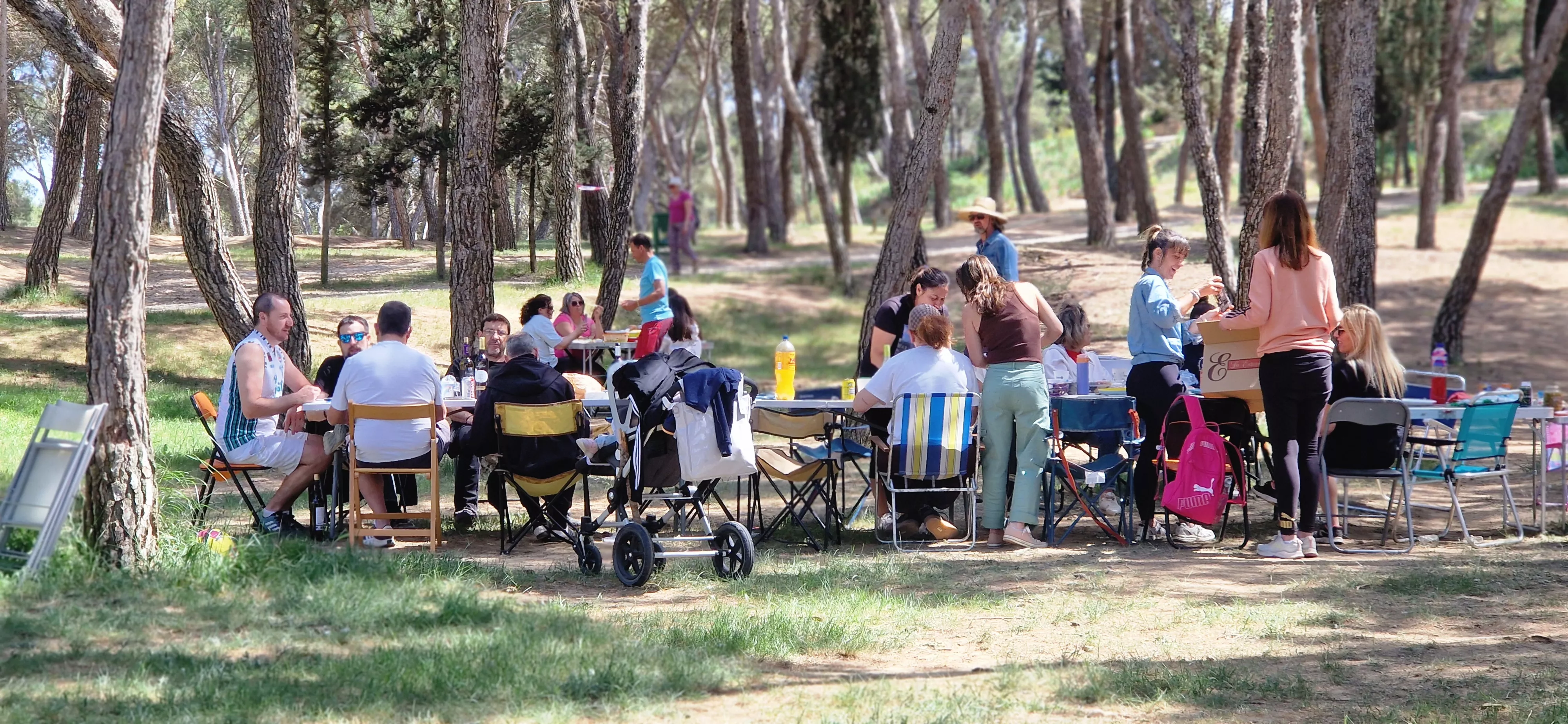 Celebración en Huesca del Día de San Jorge en el cerro. Foto Myriam Martínez