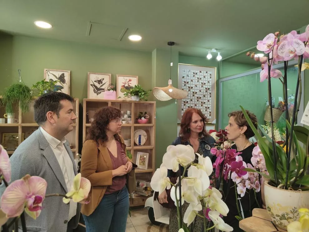 Carmen Herrarte en la presentación de las ayudas a las pymes de comercio