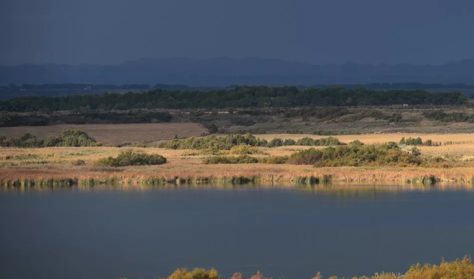 Humedal Singular de la Laguna de Sariñena.