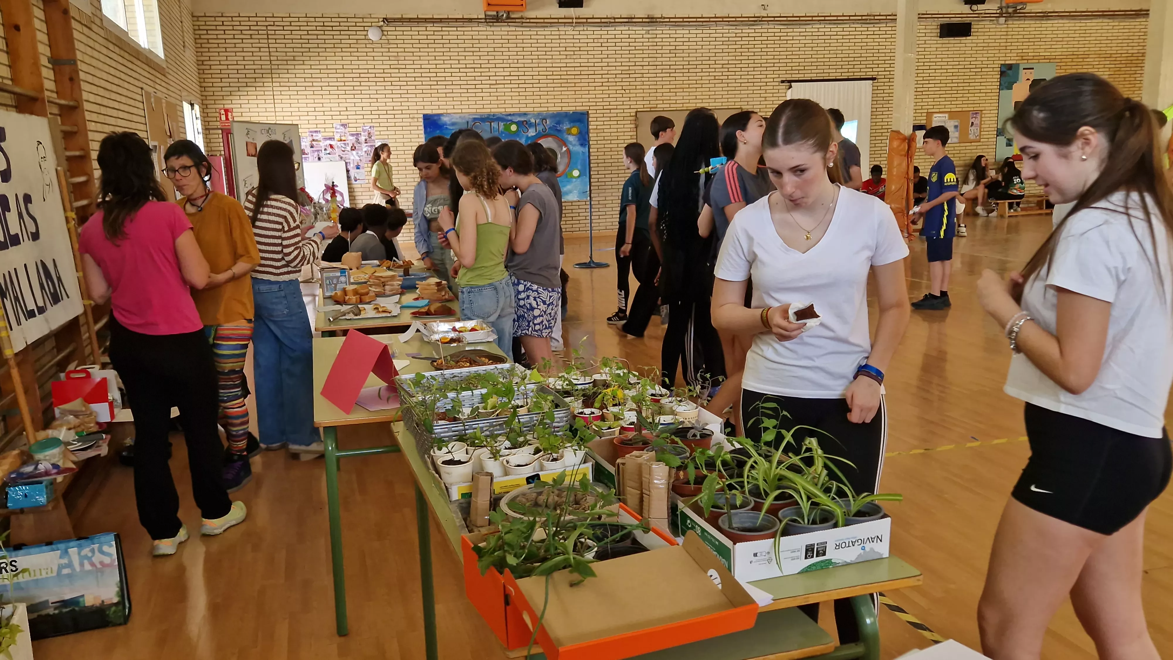 Actividad realizada en el IES Lucas Mallada para visibilizar la ictiosis. Foto Myriam Martínez