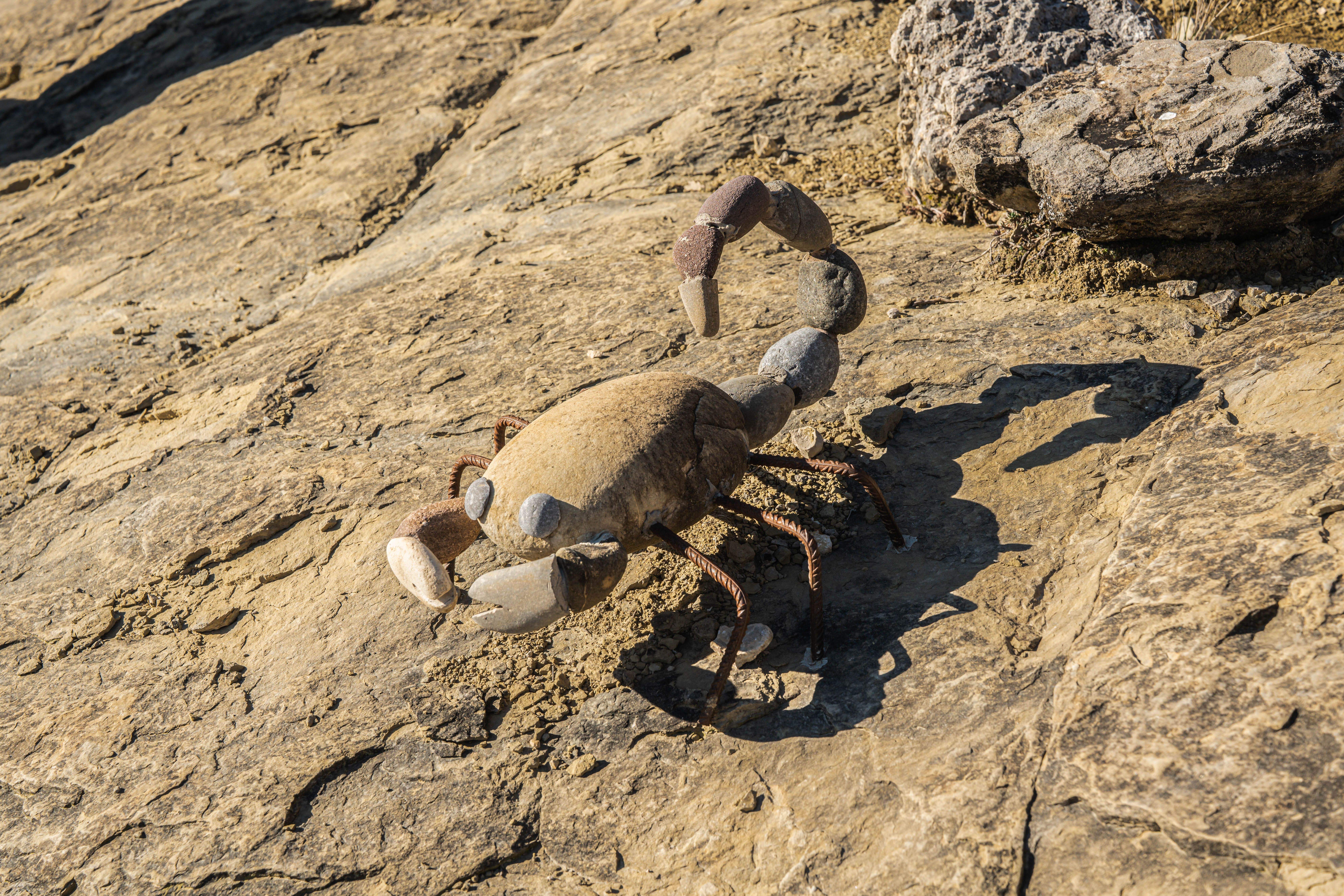 Bonito paseo por el entorno de Capella. Foto José Antonio Terrón Puente. Bonito paseo por el entorno de Capella. Foto José Antonio Terrón Puente.