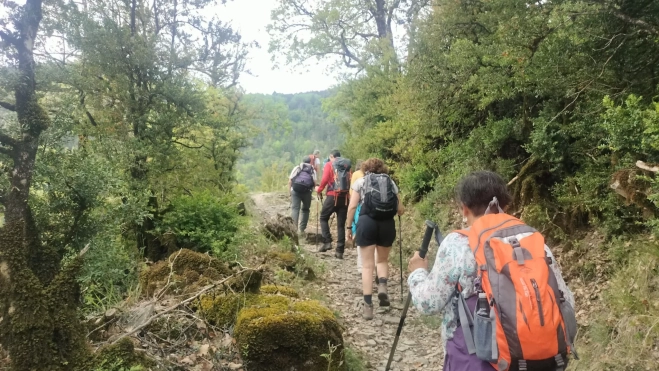 Escartín 10 CMNabain