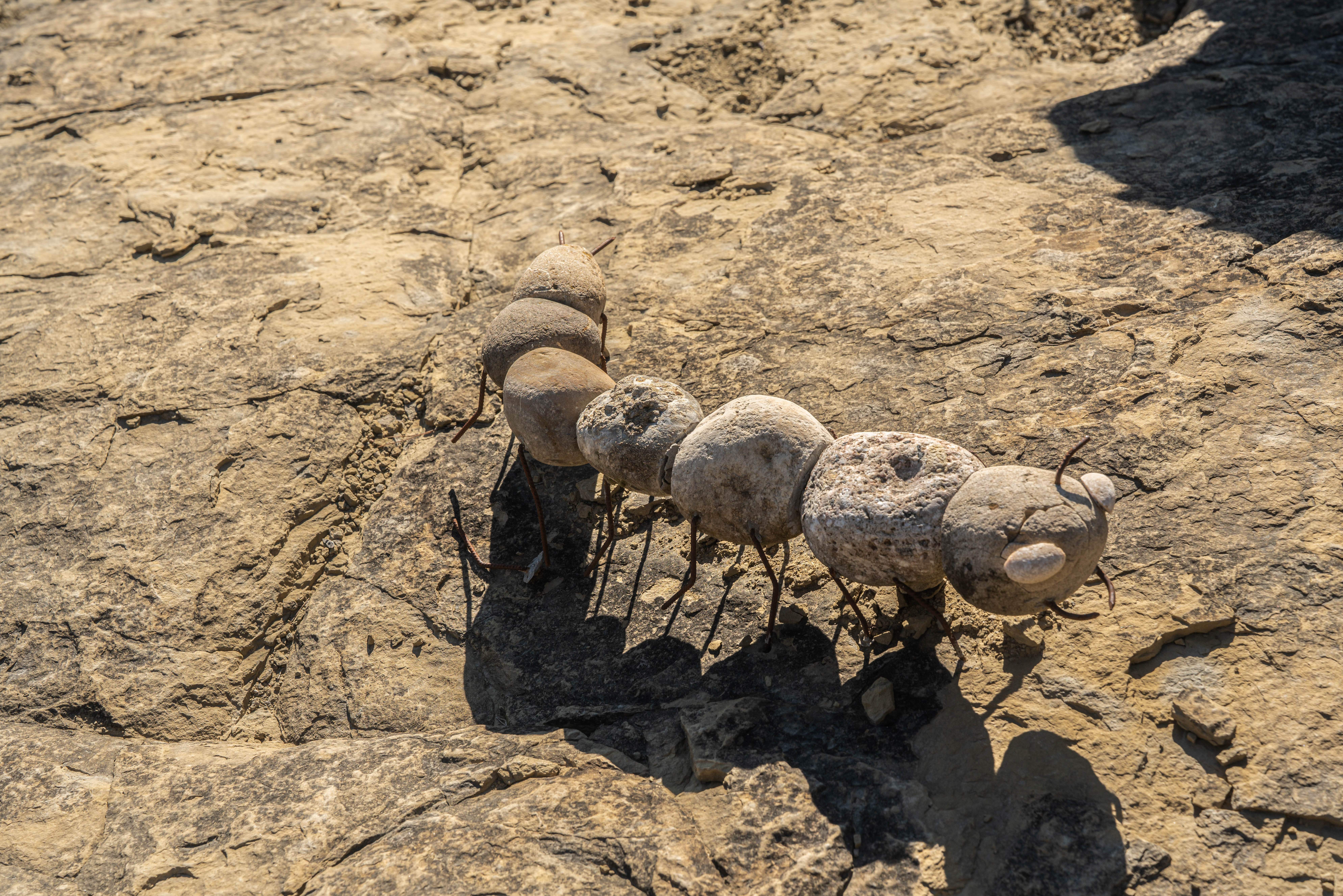 Bonito paseo por el entorno de Capella. Foto José Antonio Terrón Puente. Bonito paseo por el entorno de Capella. Foto José Antonio Terrón Puente.