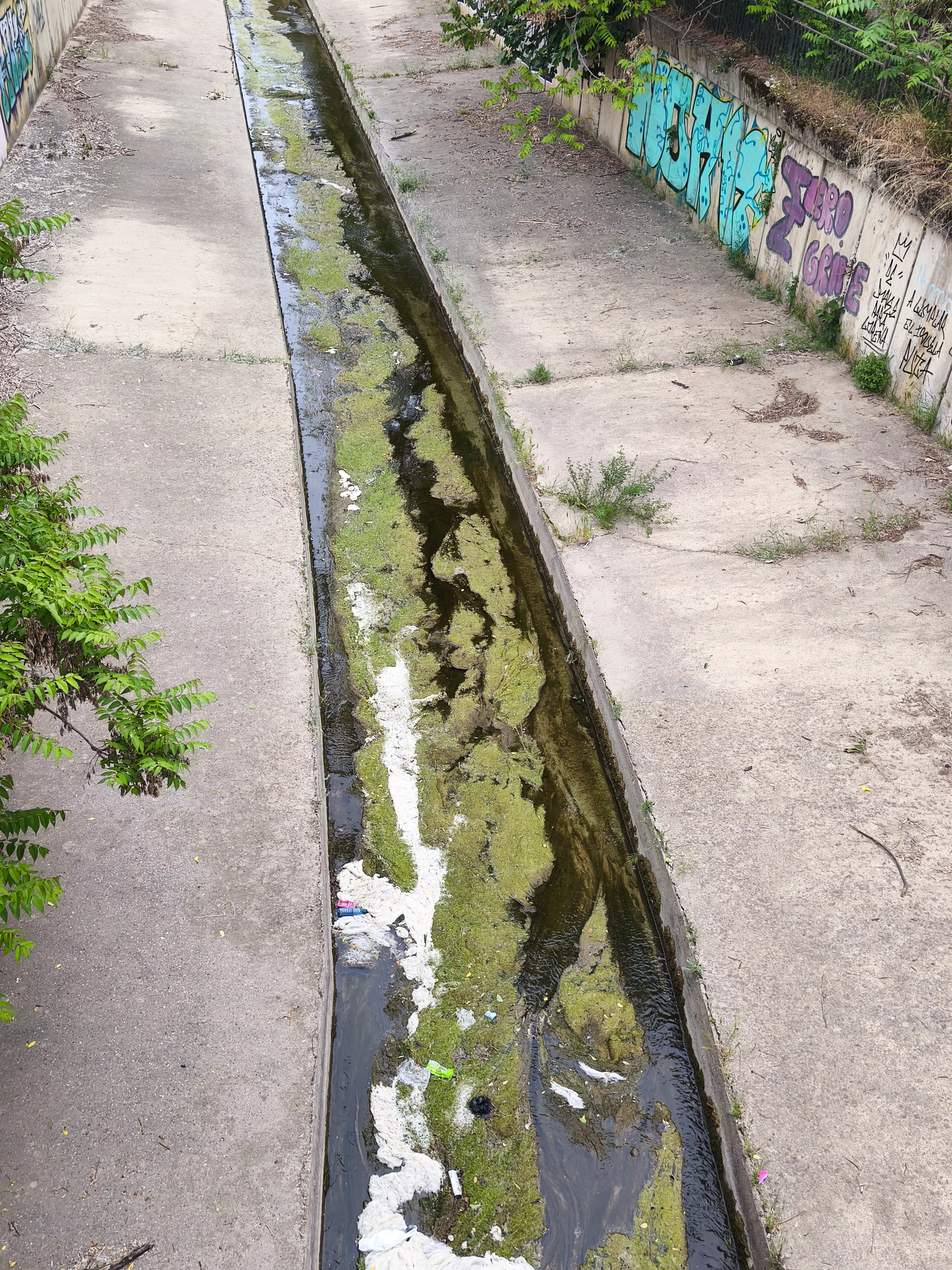 El río Isuela se encuentra al límite en Huesca, según el Partido Verde.