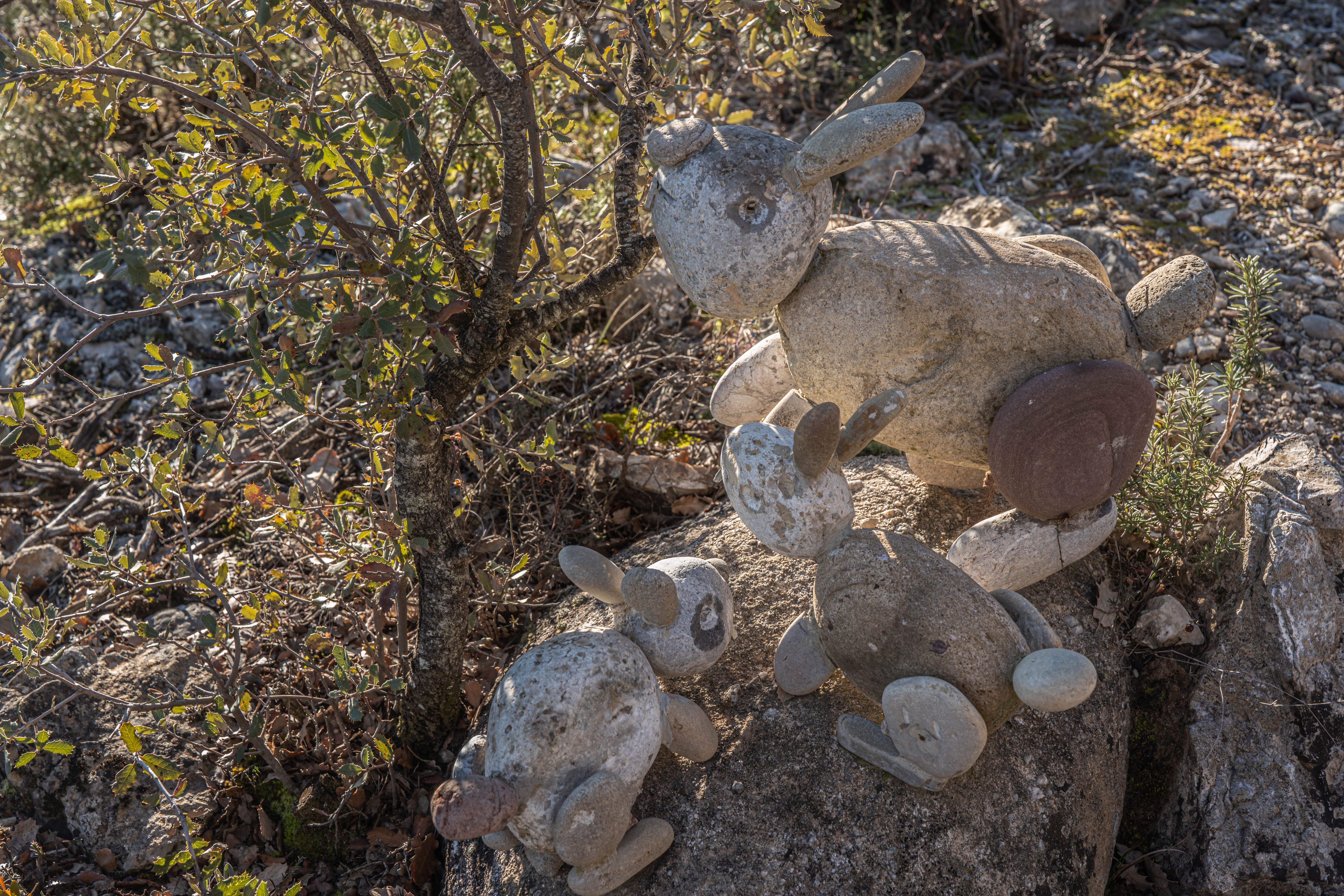 Bonito paseo por el entorno de Capella. Foto José Antonio Terrón Puente. Bonito paseo por el entorno de Capella. Foto José Antonio Terrón Puente.