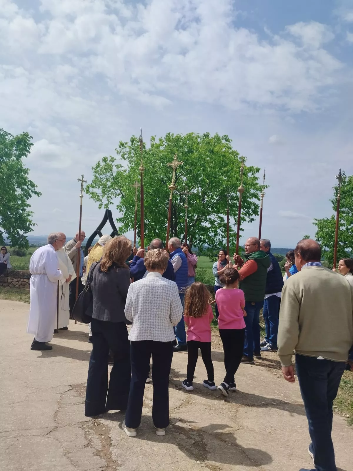  Romería de la Virgen del Viñedo