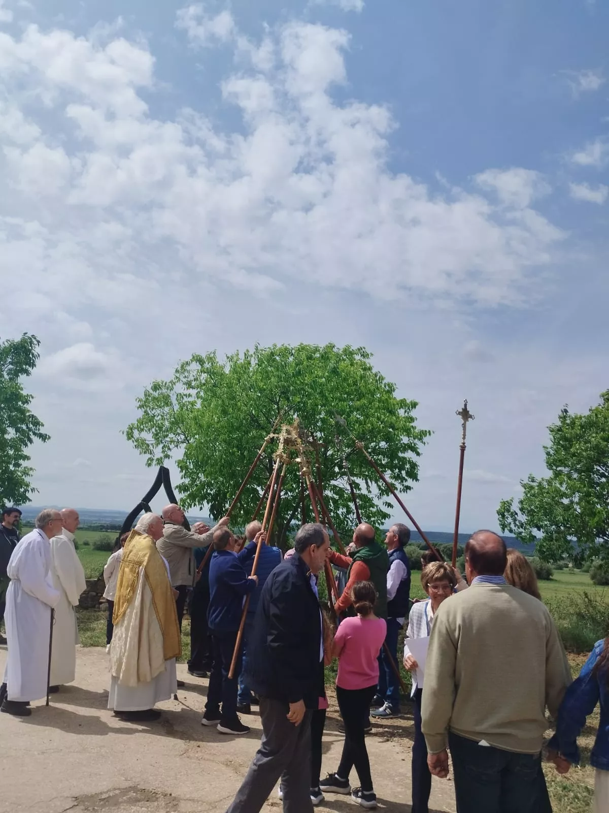  Romería de la Virgen del Viñedo