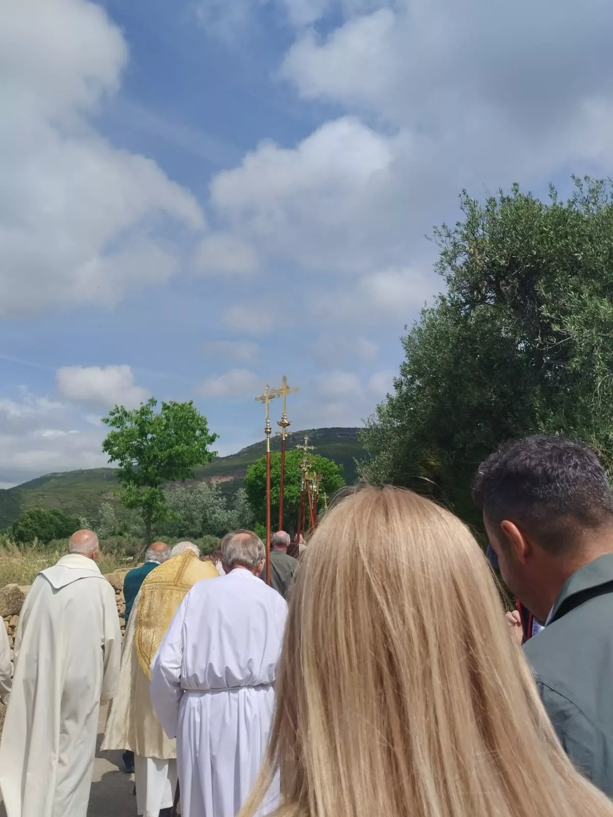  Romería de la Virgen del Viñedo