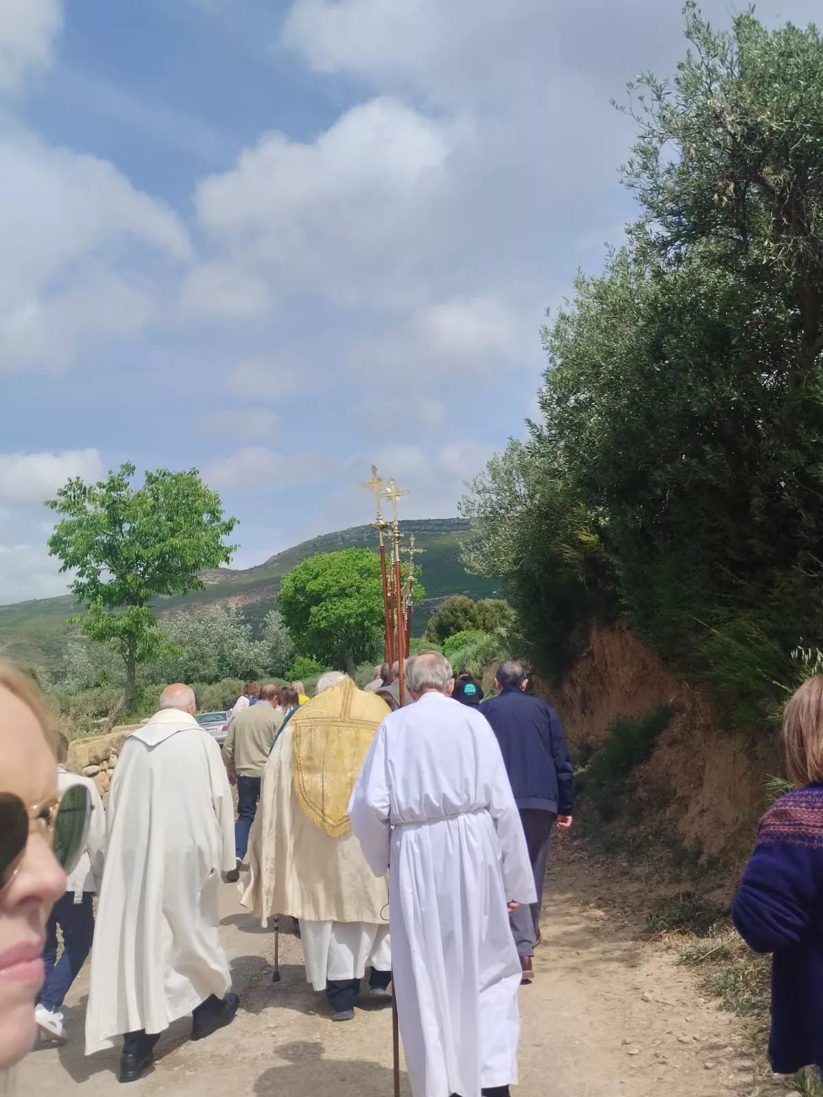  Romería de la Virgen del Viñedo