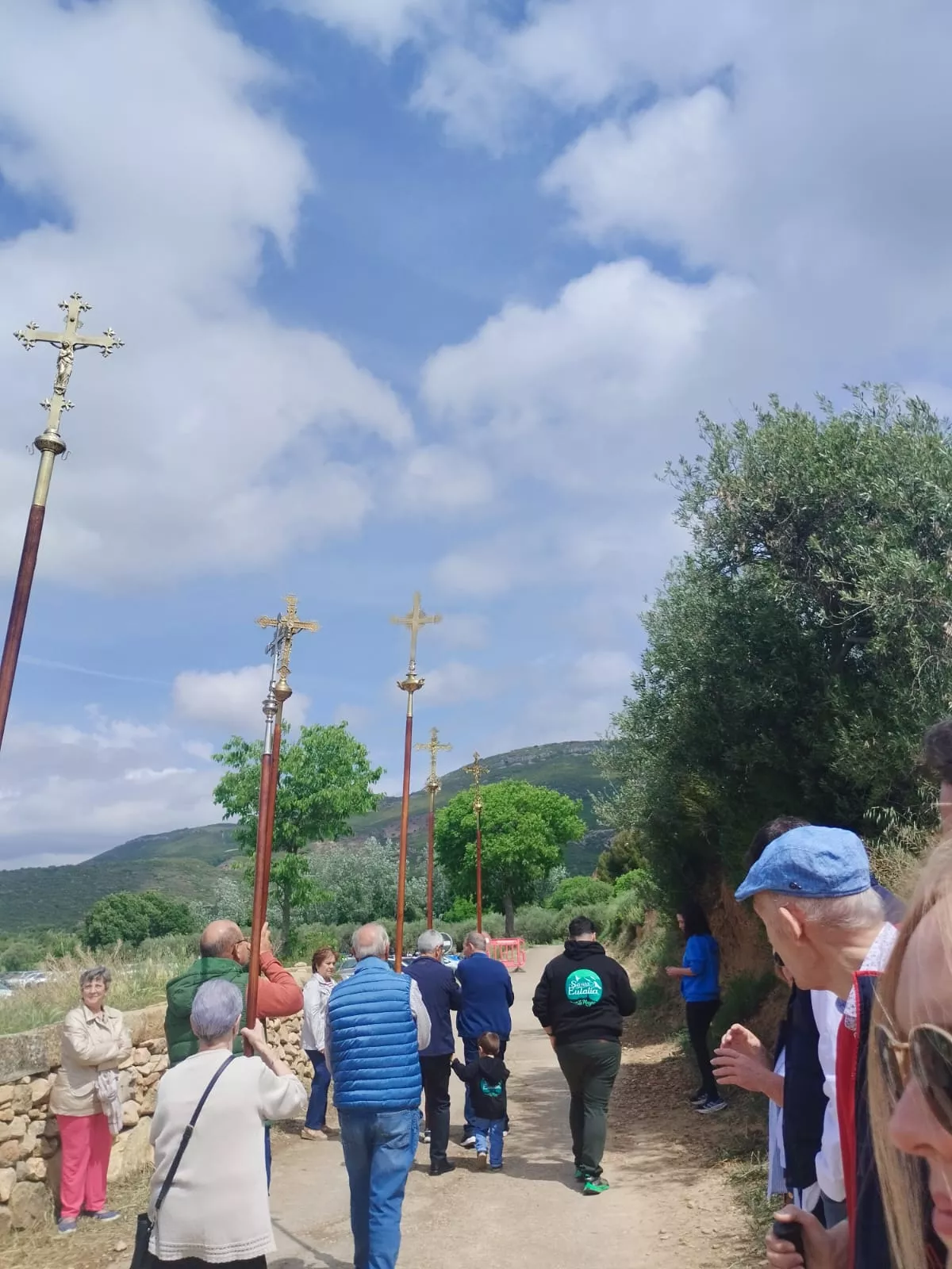  Romería de la Virgen del Viñedo