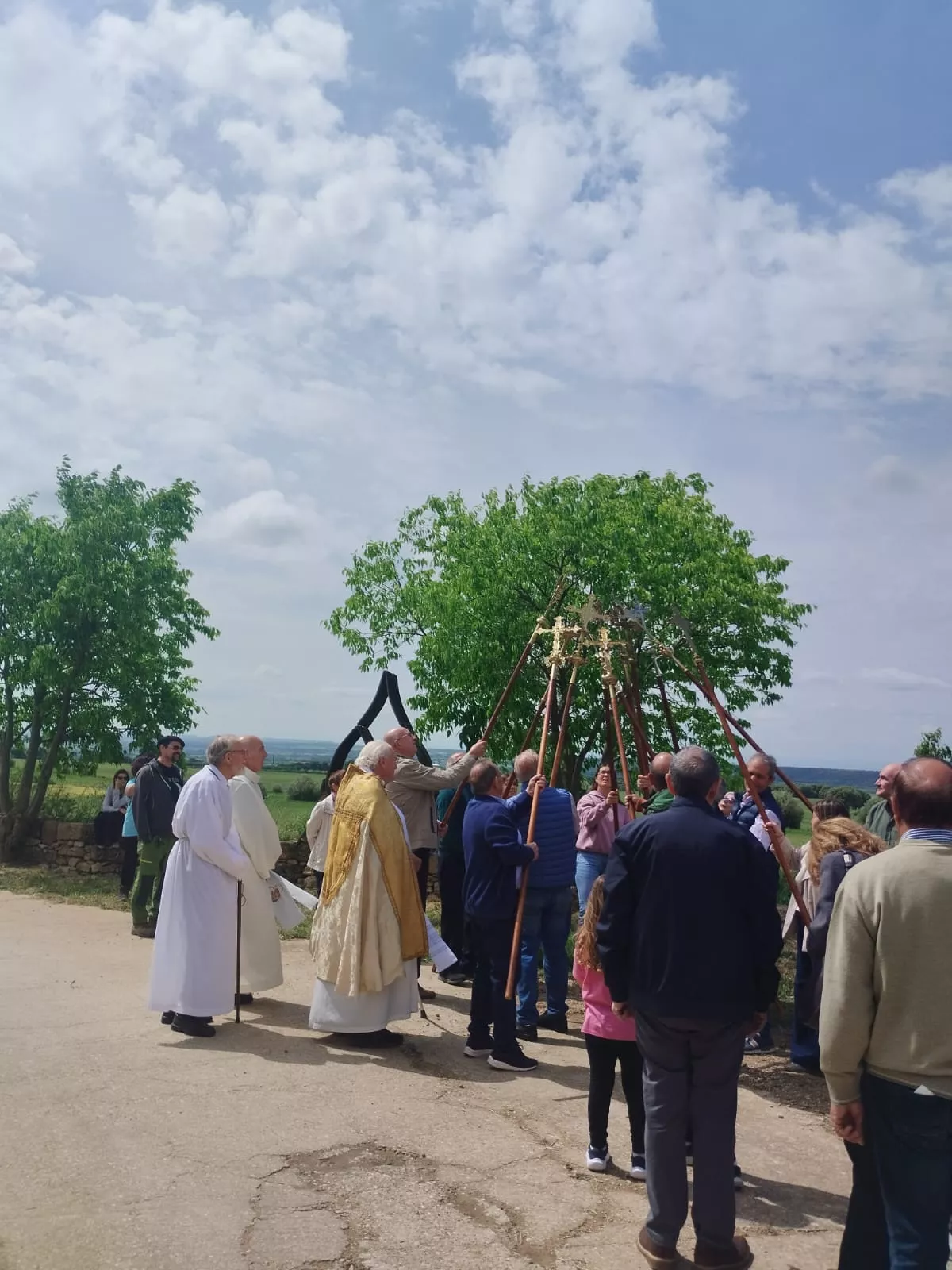  Romería de la Virgen del Viñedo