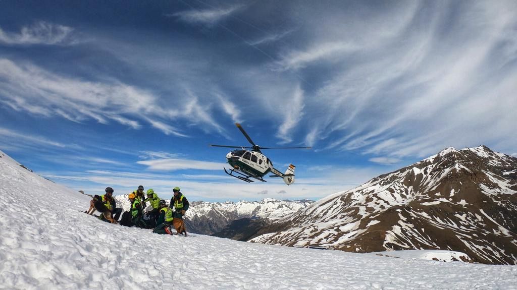 Los GREIM y el UHEL 41 recibirán el premio honorífico del PMFF