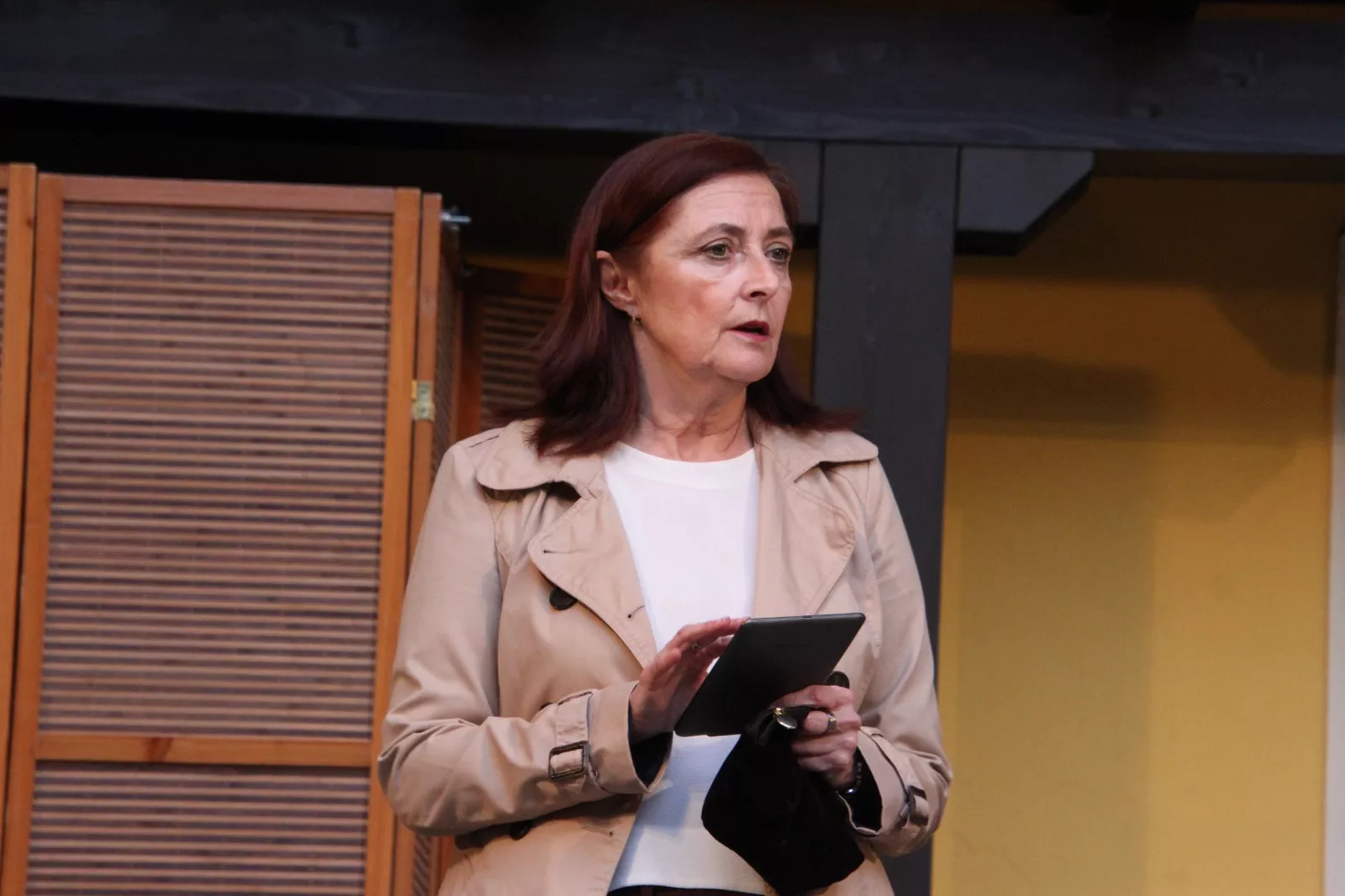 "Tela Marinera"  en el Corral de Comedias de Robres con "El inconveniente". Foto Carlos Neofato