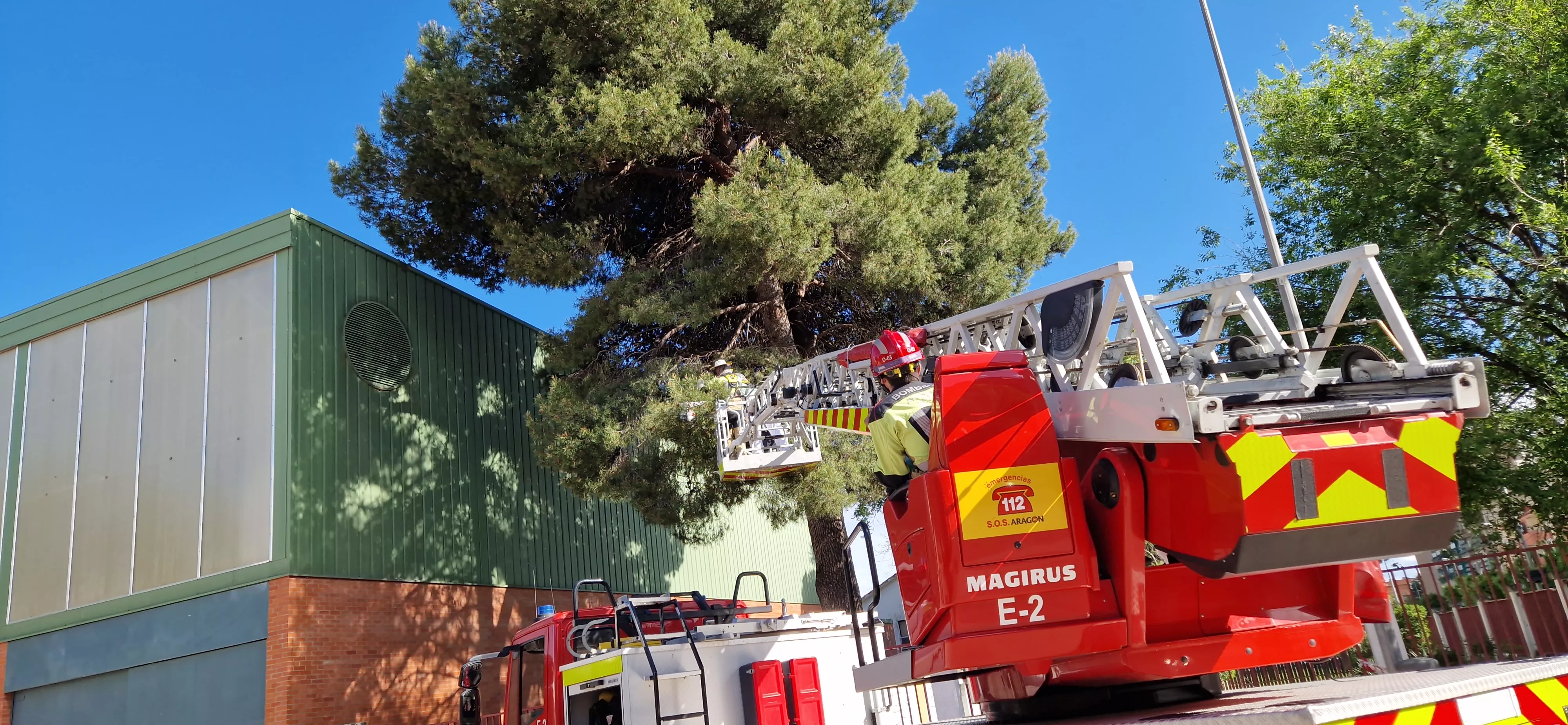 Los Bomberos de Huesca actuando con un panal en el Perpetuo Socorro. Foto Myriam Martínez