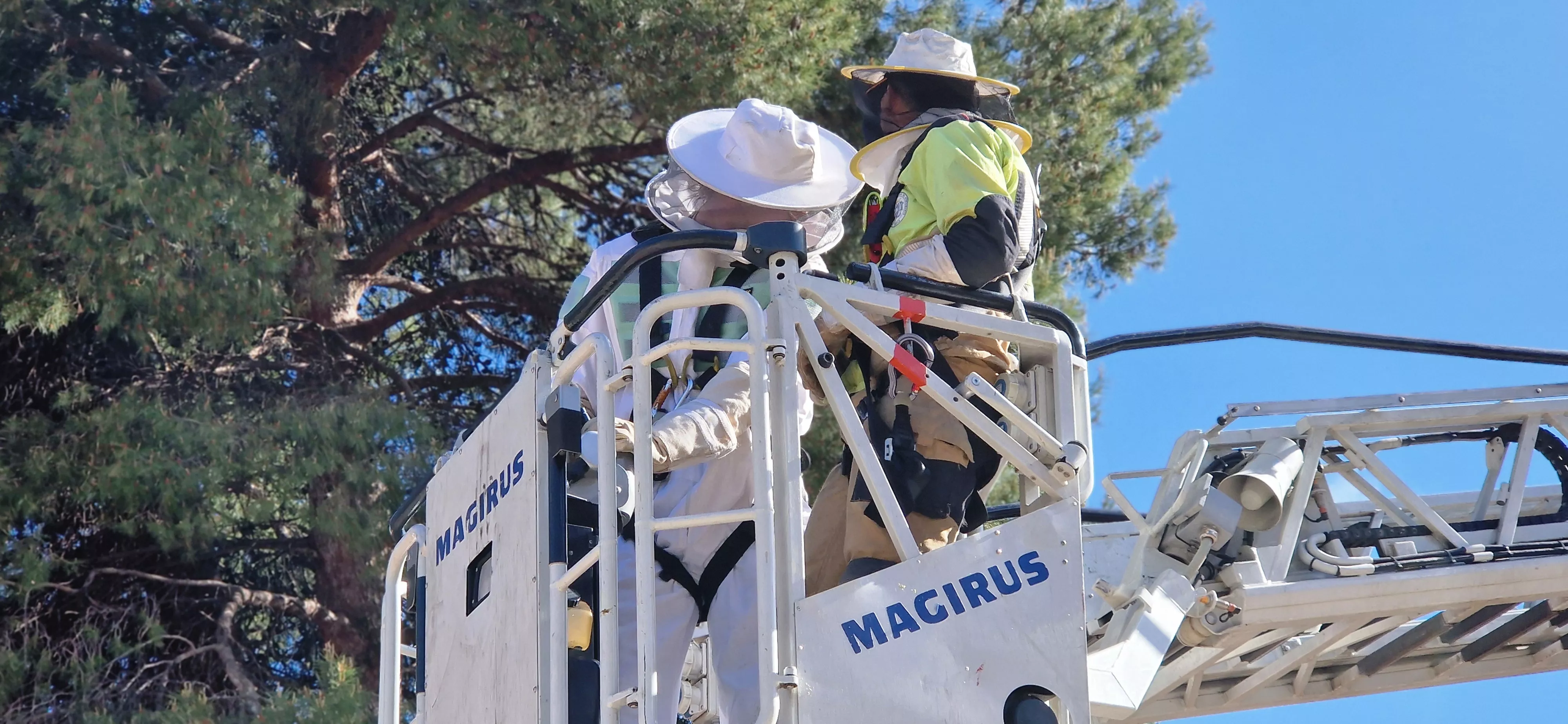 Los Bomberos de Huesca actuando con un panal en el Perpetuo Socorro. Foto Myriam Martínez