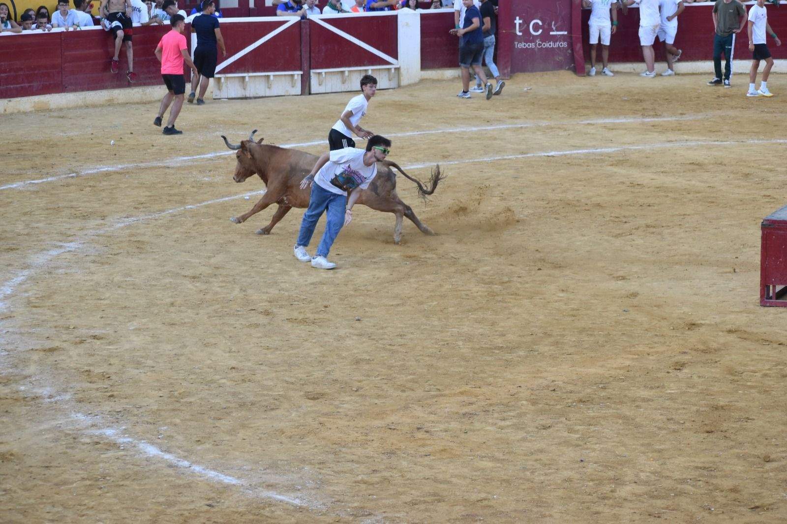 Vaquillas del 12 de agosto. Foto Carlos Jalle 