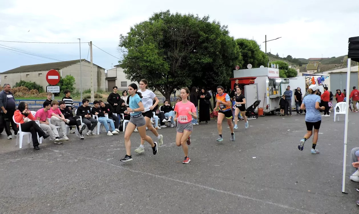 Grupo de cabeza femenino