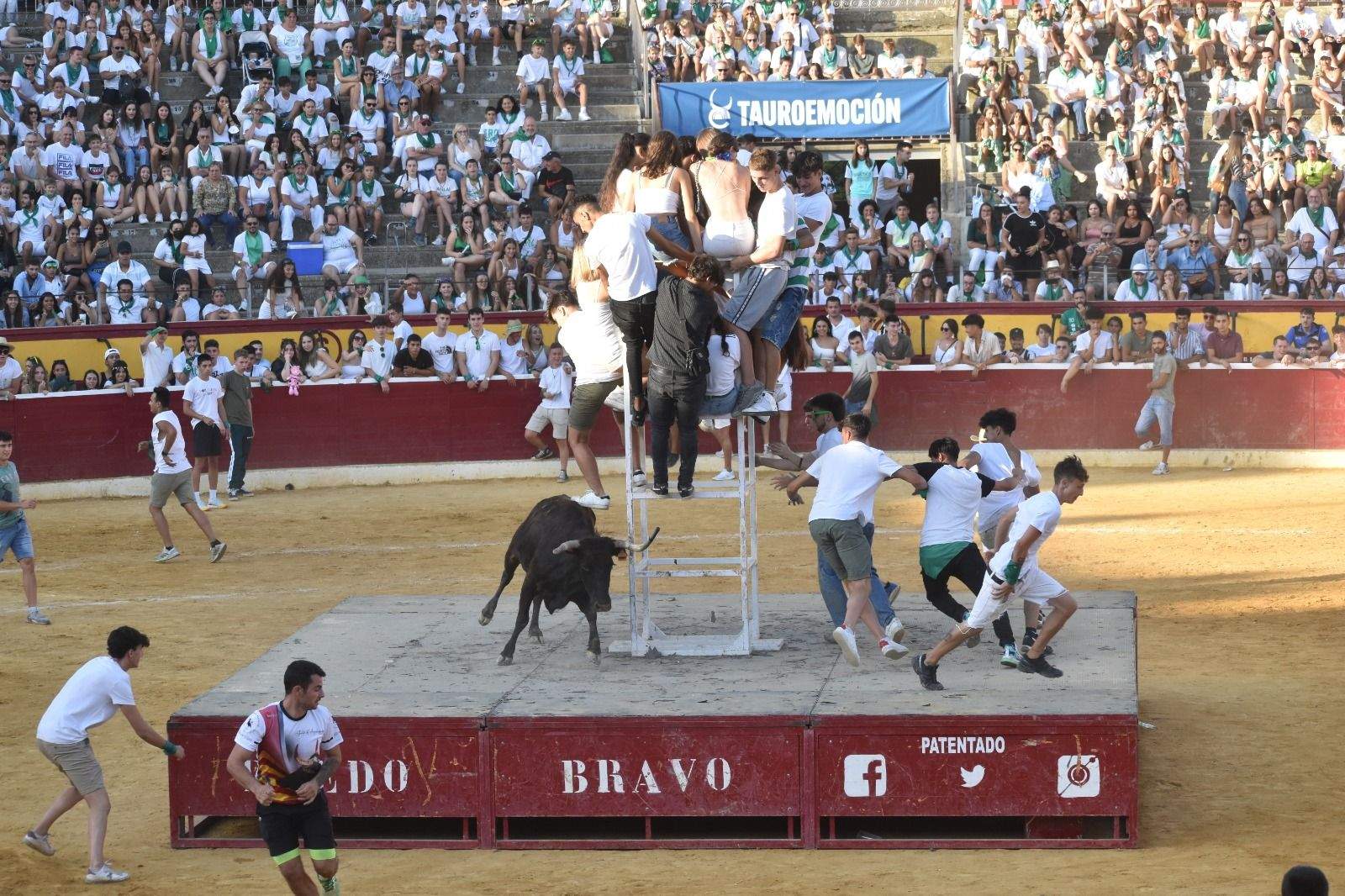 Vaquillas del 12 de agosto. Foto Carlos Jalle 