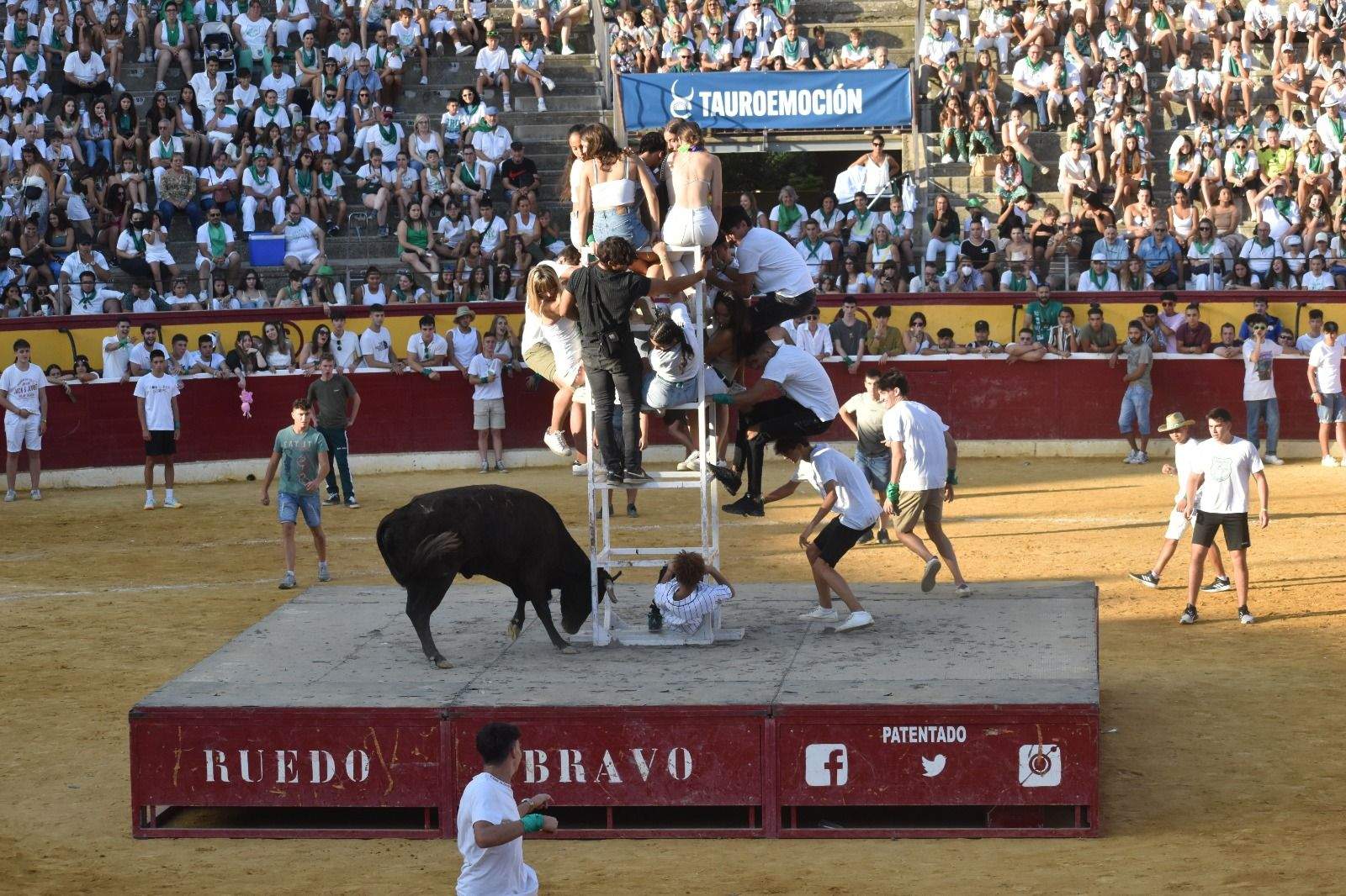Vaquillas del 12 de agosto. Foto Carlos Jalle 