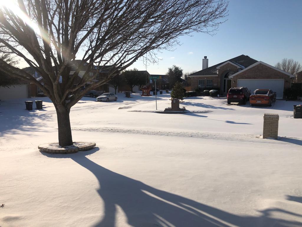 Al menos dos veces al año, la nieve y el frío paralizan la vida en Texas.