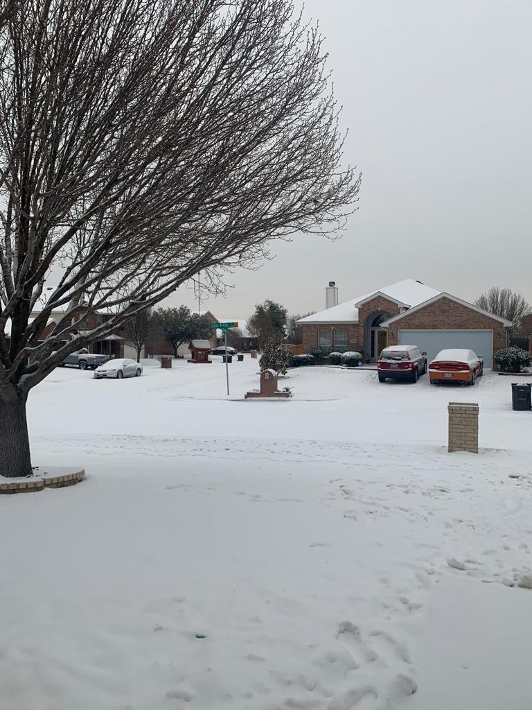 Al menos dos veces al año, la nieve y el frío paralizan la vida en Texas.
