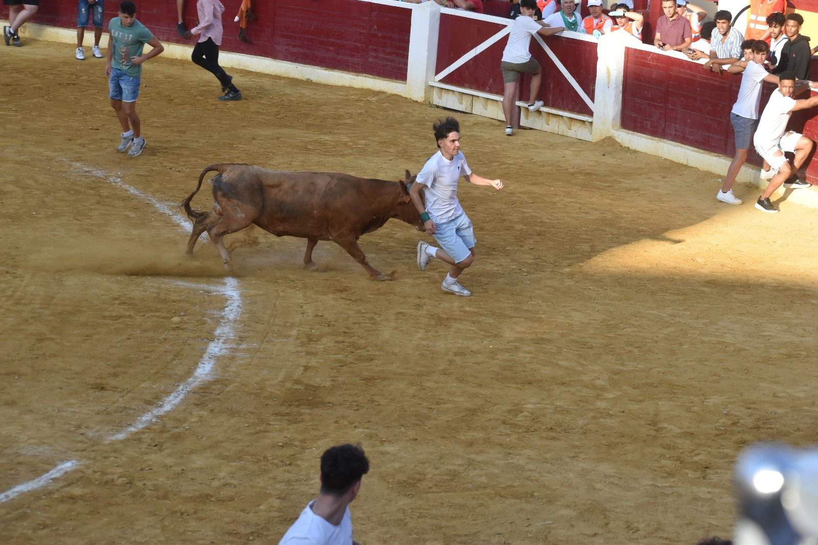 Vaquillas del 12 de agosto. Foto Carlos Jalle 