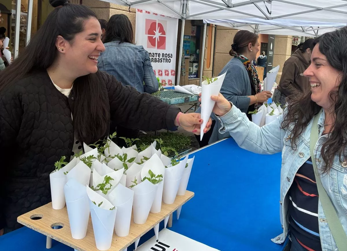 Barbastro reparte 2.000 plantas de Tomate Rosa en una multitudinaria Fiesta del Plantero.