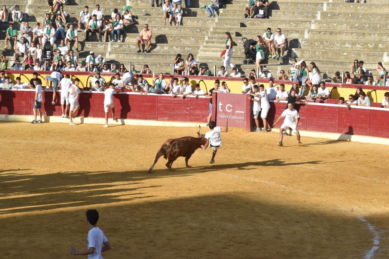 Vaquillas del 12 de agosto. Foto Carlos Jalle 