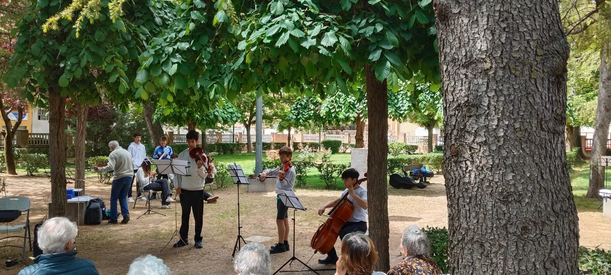 Concierto de violines en Barriofest.
